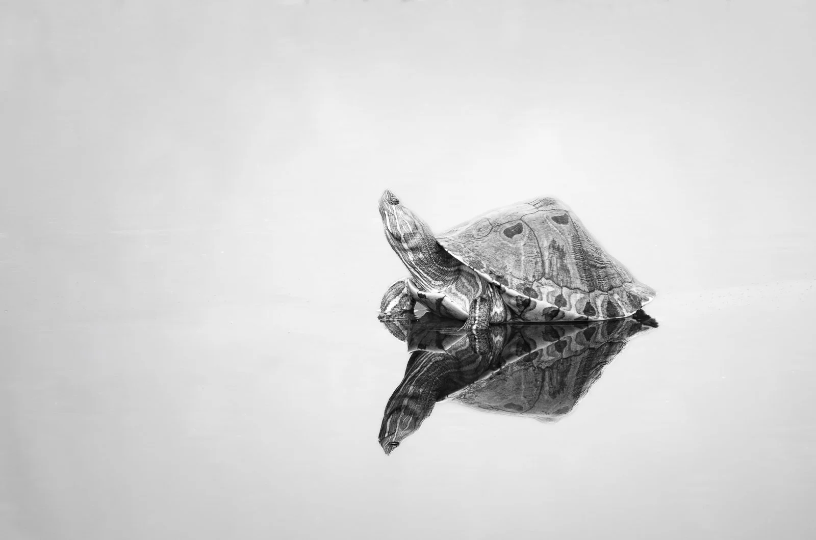 Jane McLeod, Costa Rica, 2.Empty stage