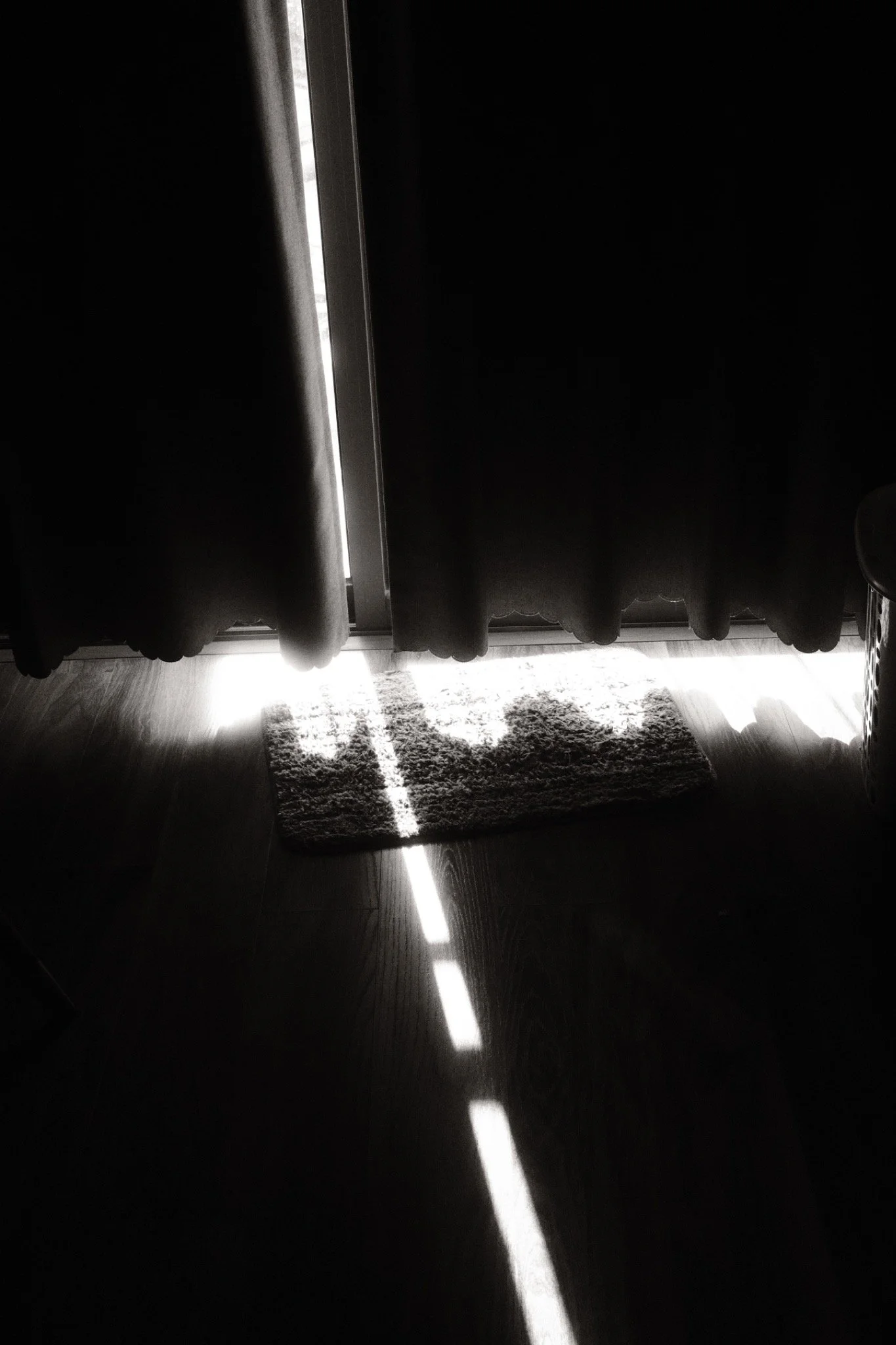 DSCF2956.JPG