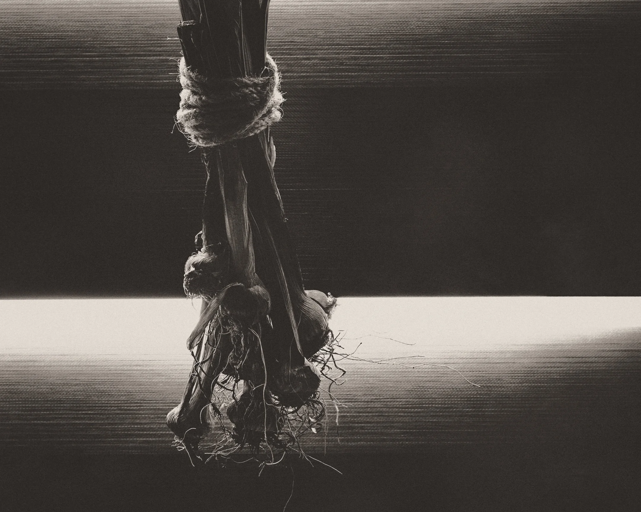 Brian_Sudek 01.jpg