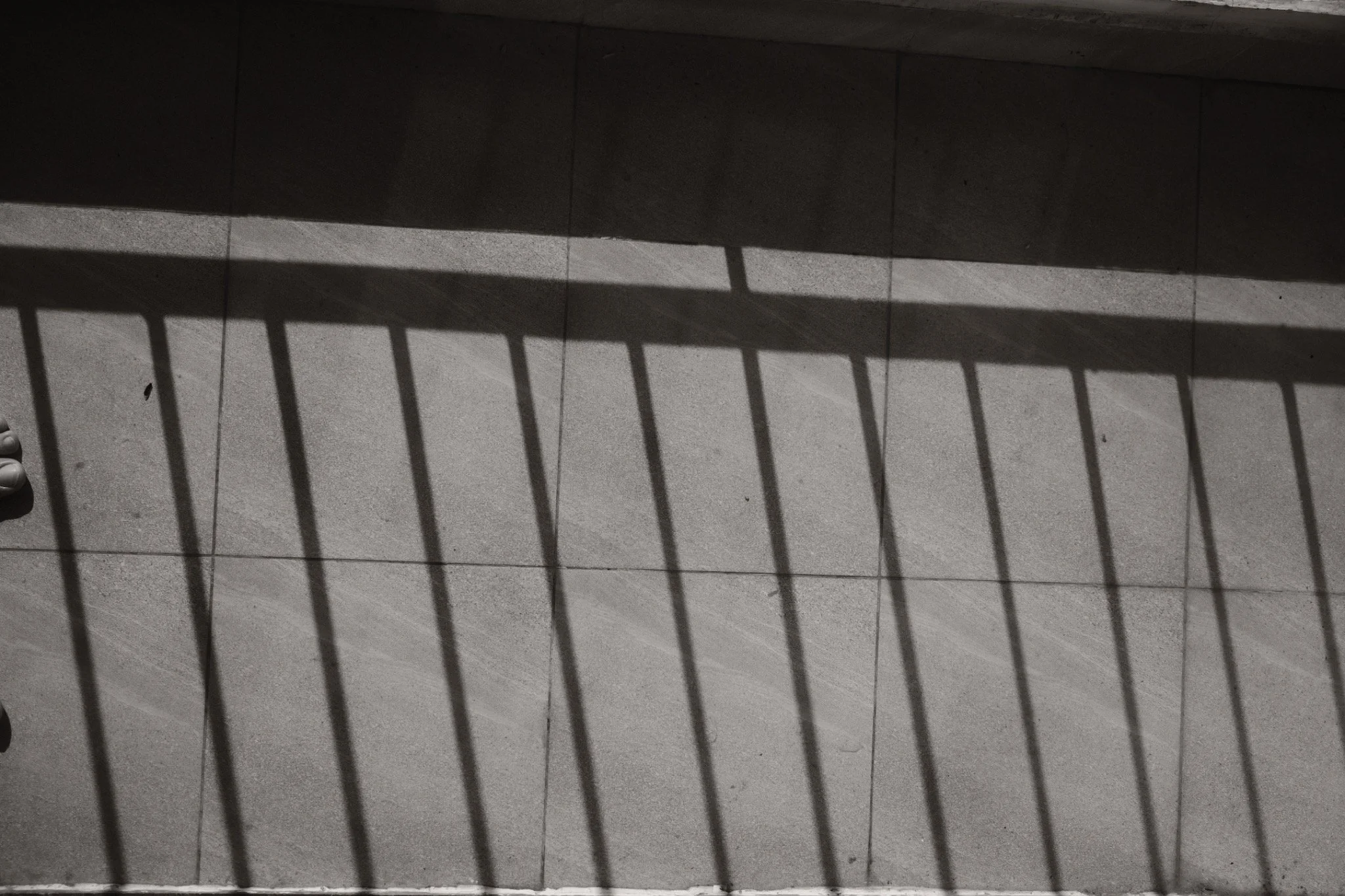 DSCF2950.JPG