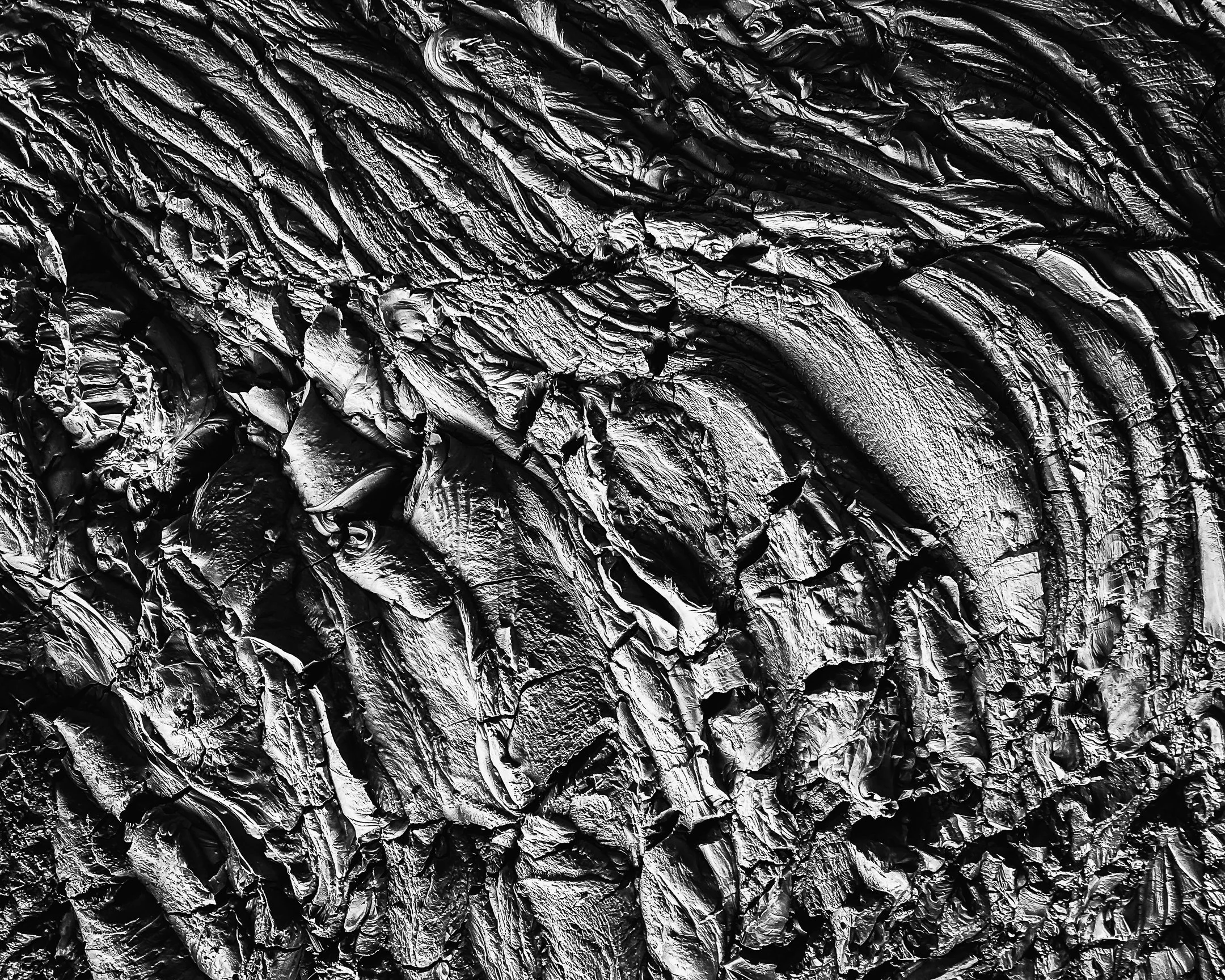 Pollock 01.jpg