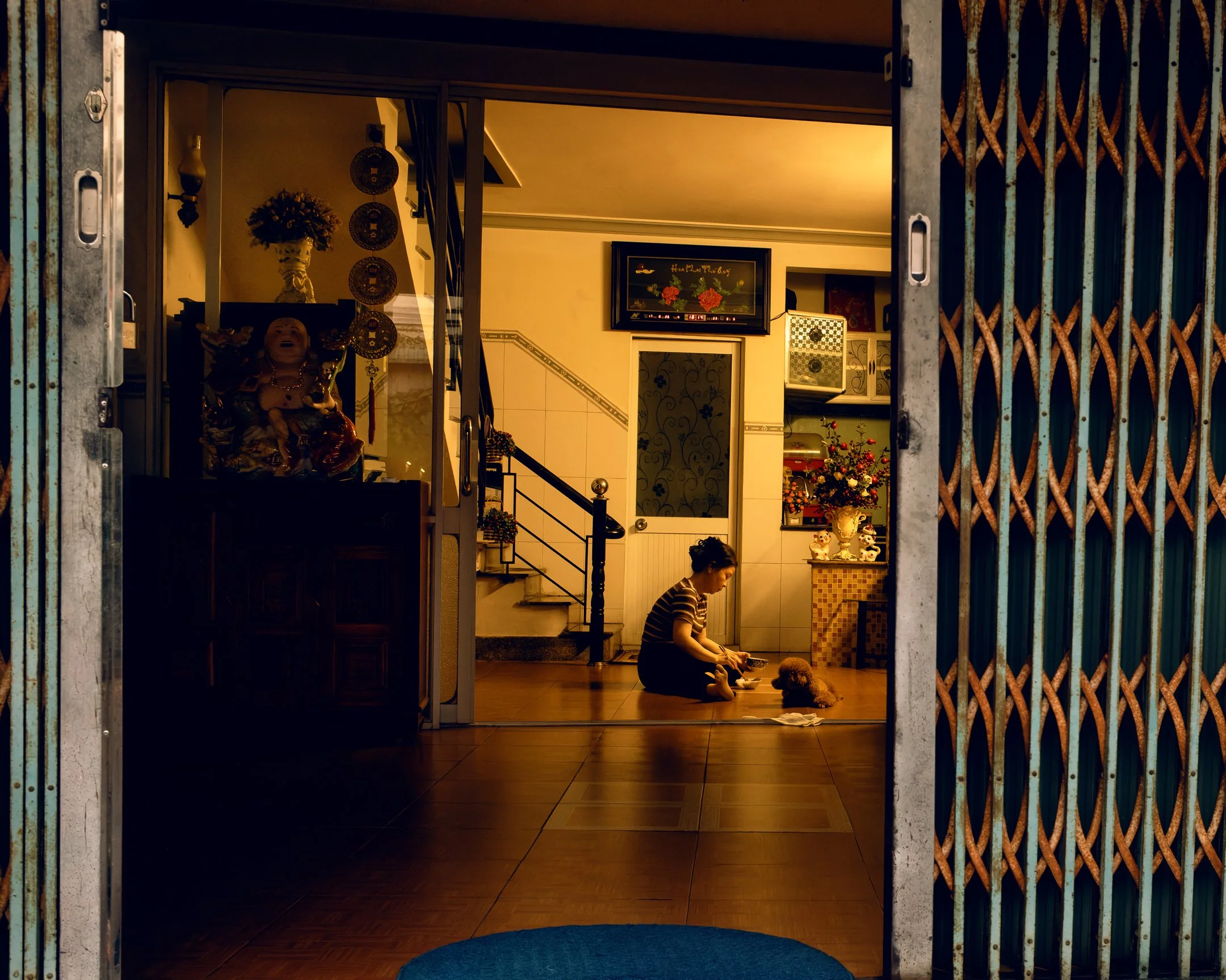 *Vermeer.Ozu Opener.jpg