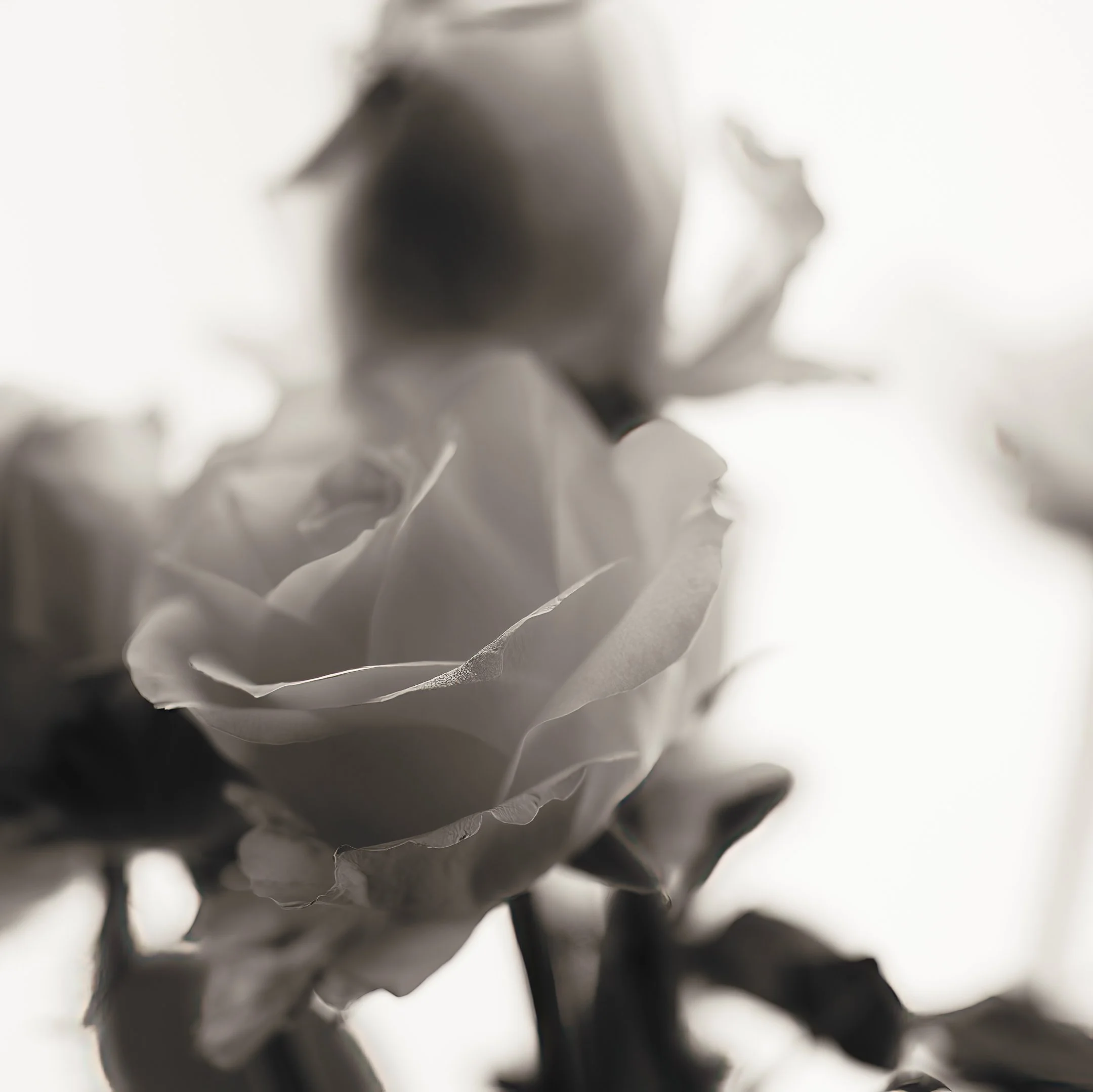Brian_Sudek 02.jpg