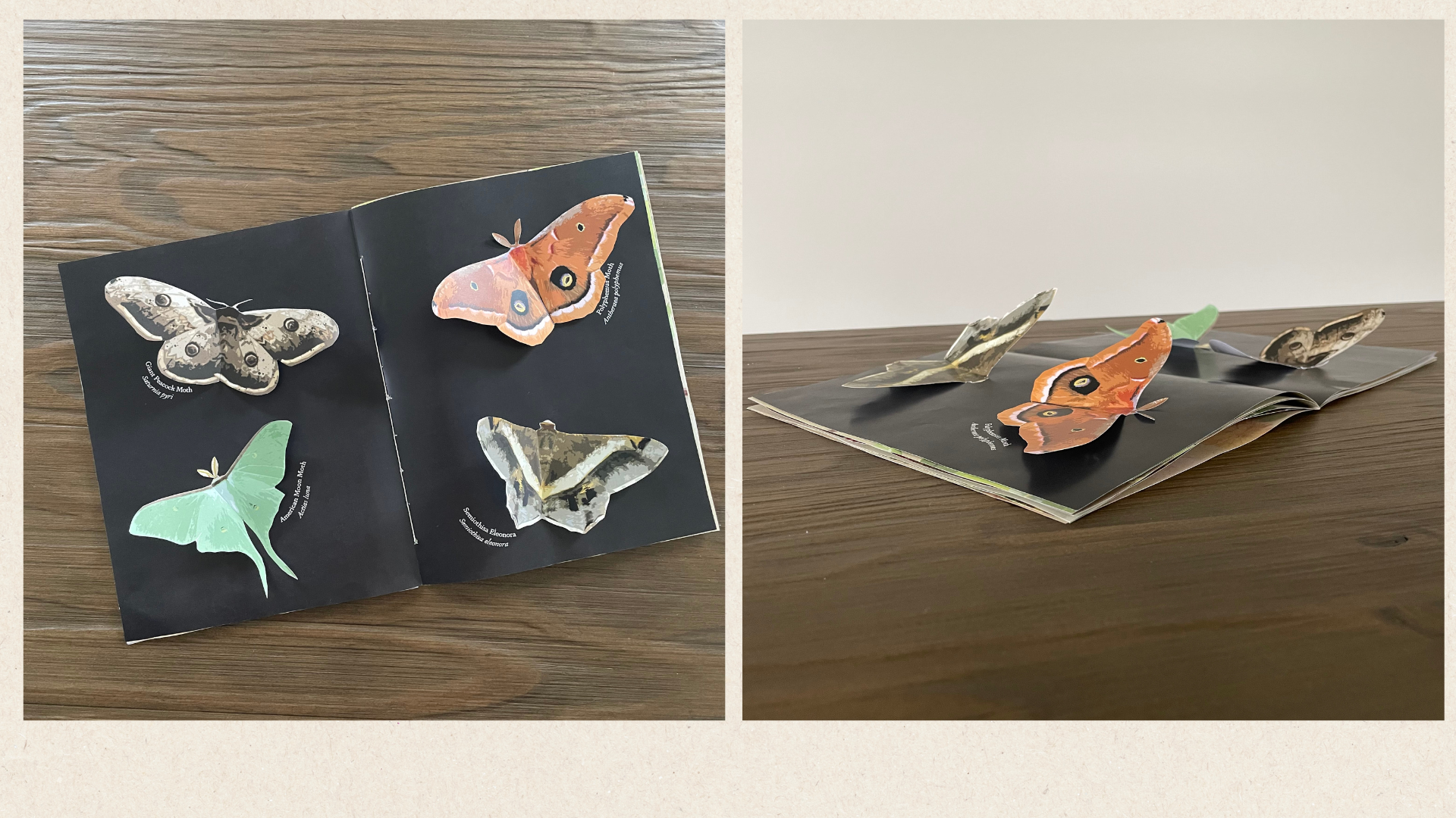 OL_202310_GRDS358_KelseyFulk_PaperSampleFinal (1).png