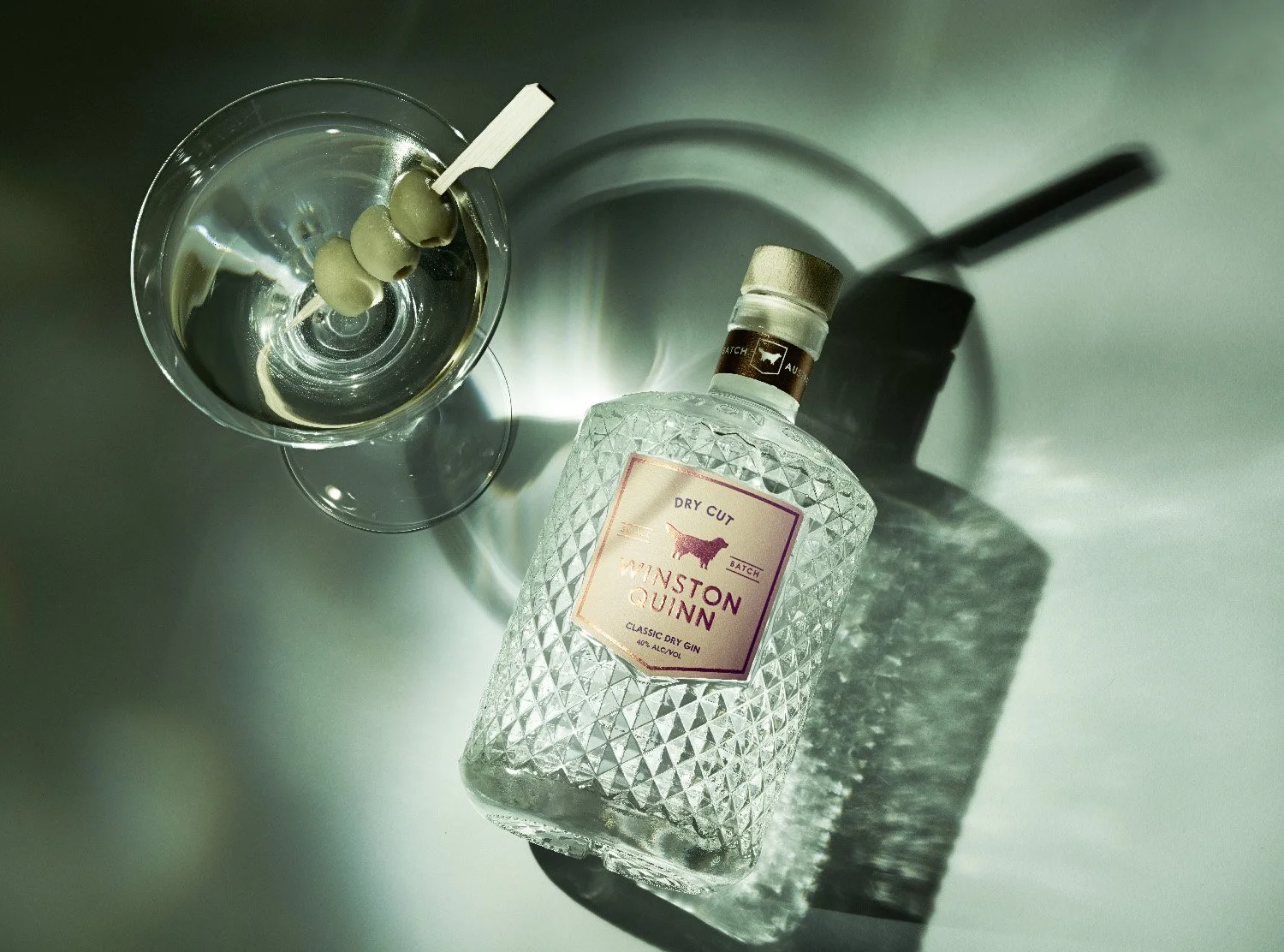Product photograph of a gin bottle
