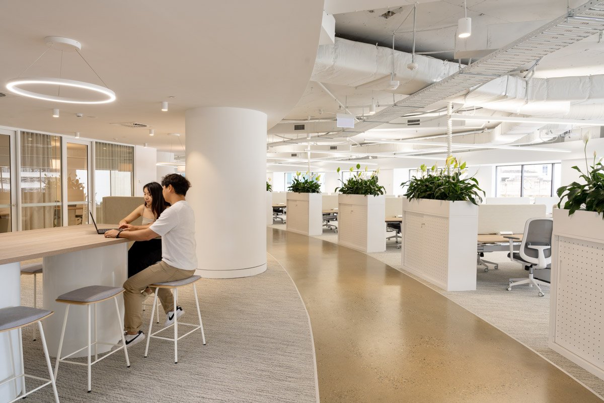 Commercial imagea of an open office space with white walls, large windows, and modern lighting. Two people are sitting at a high table using a laptop, surrounded by office chairs and potted plants dividing the work areas. Taken by Tom MacDonald