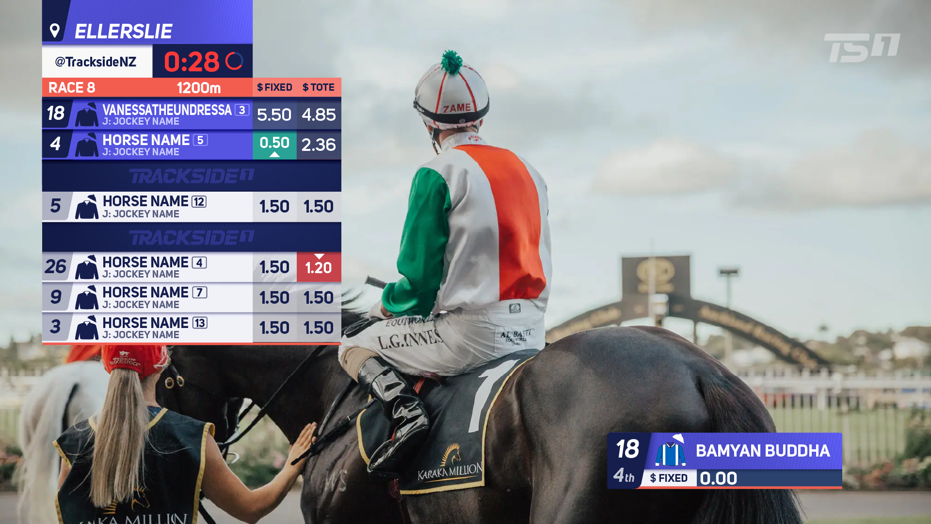graciela-olivares-trackside-insert-02.png
