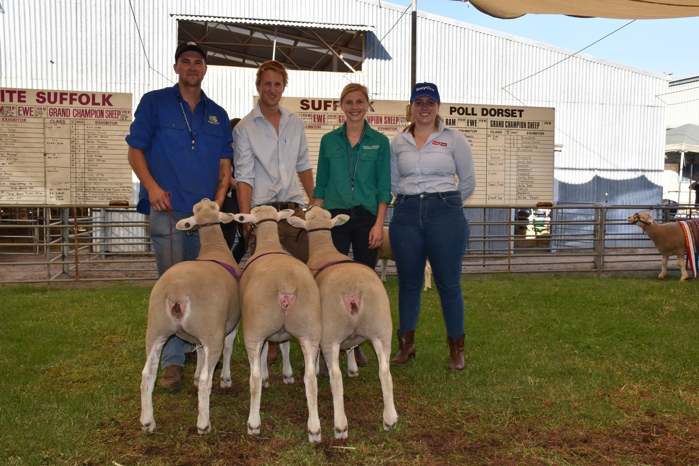 champion group 3 ewes 2020.jpg