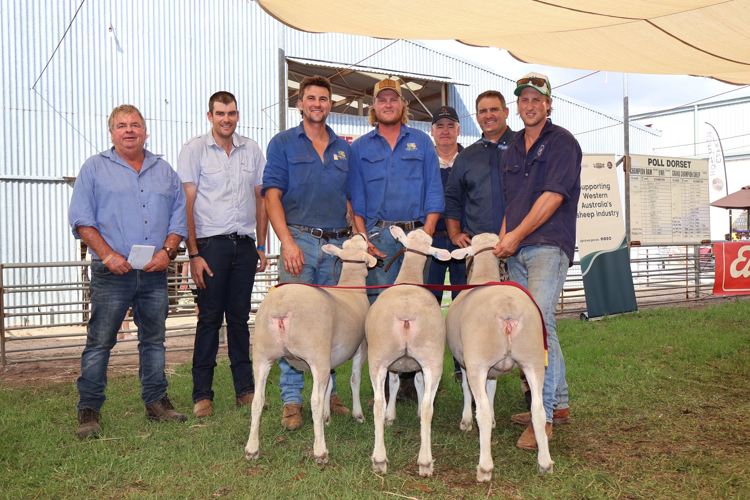 Interchamp grp 3ewes.jpg