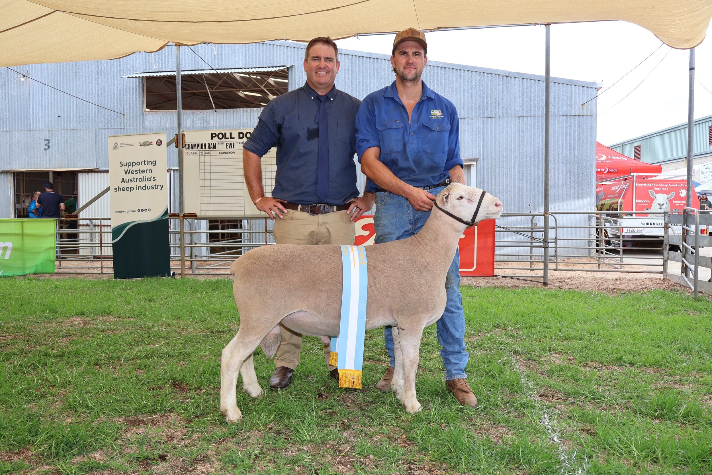WhSuff reserve ram.jpg
