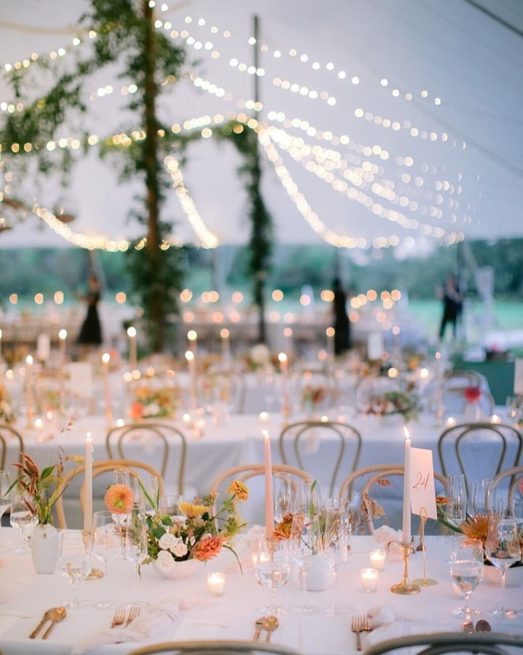 Starry magic in for C + C in upstate NY ✨

Venue: @kenozahall 
Catering: @fostersupplyhospitality 
Photo: @melbarlowandco
Video: @mintweddingcinematography 
Florals: @stemsbrooklyn 
Music: @hanklanemusic 
Lighting: @ryandesignsri

#summerwedding #ups