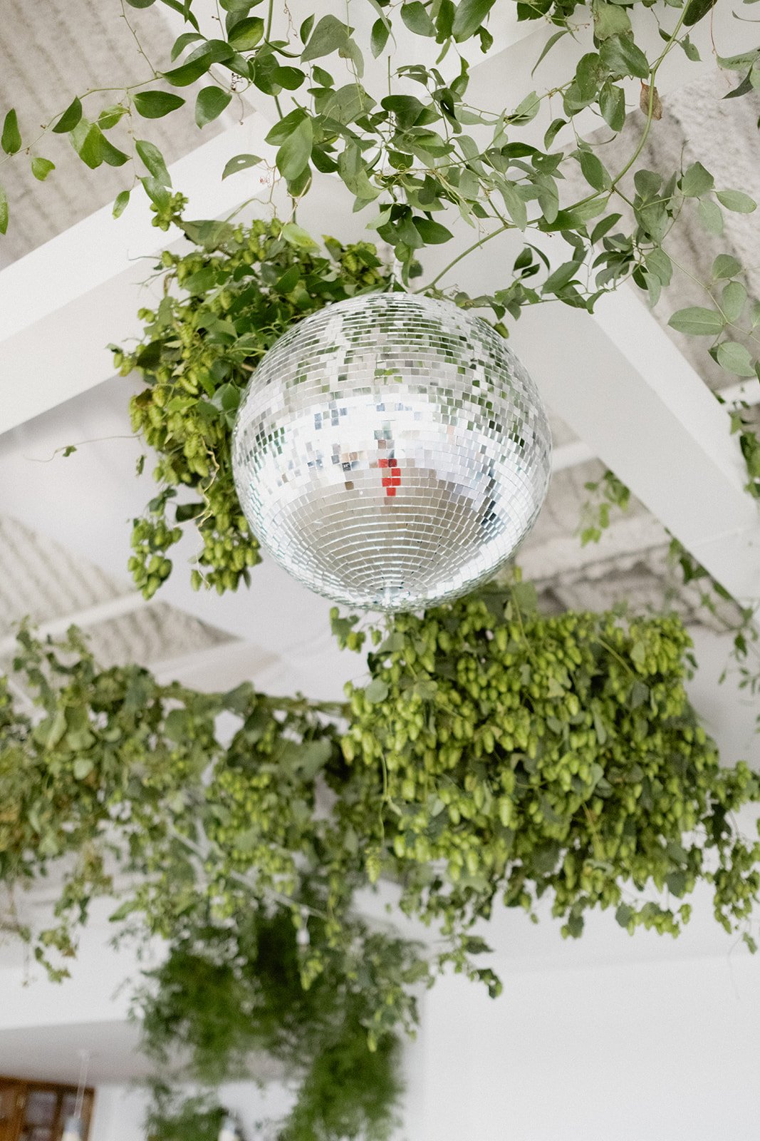 Jess&AvaWedding2023_ChelliseMichael-438.jpg