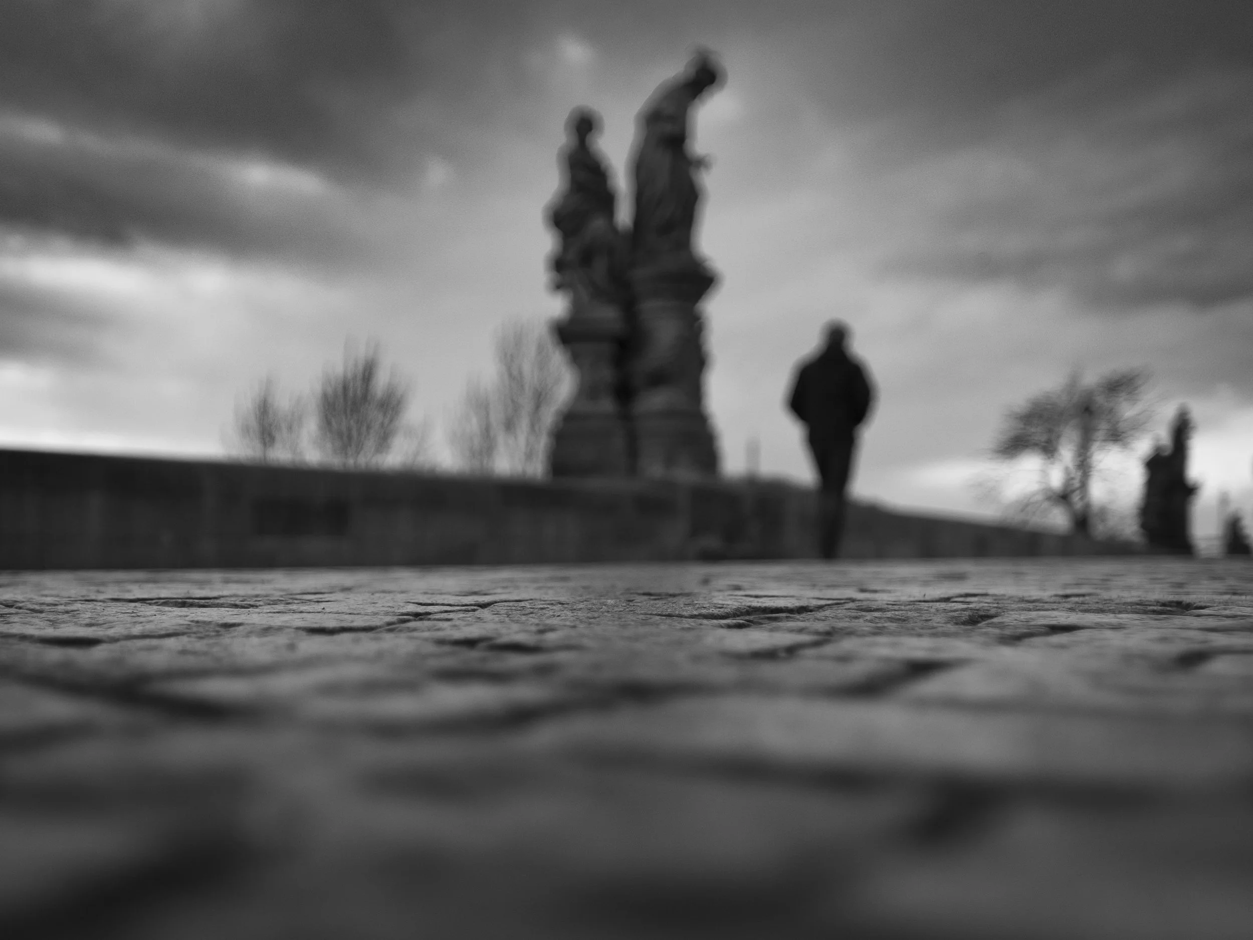 _XT27660.jpg