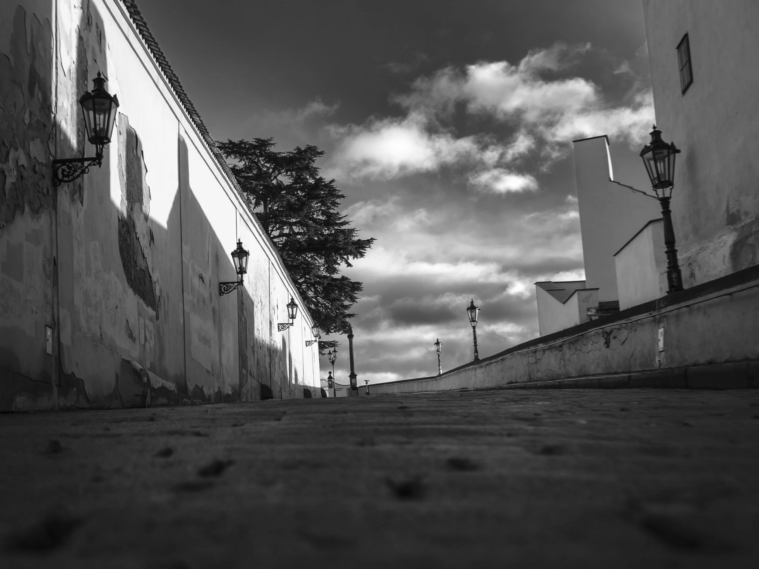 _XT27696.jpg