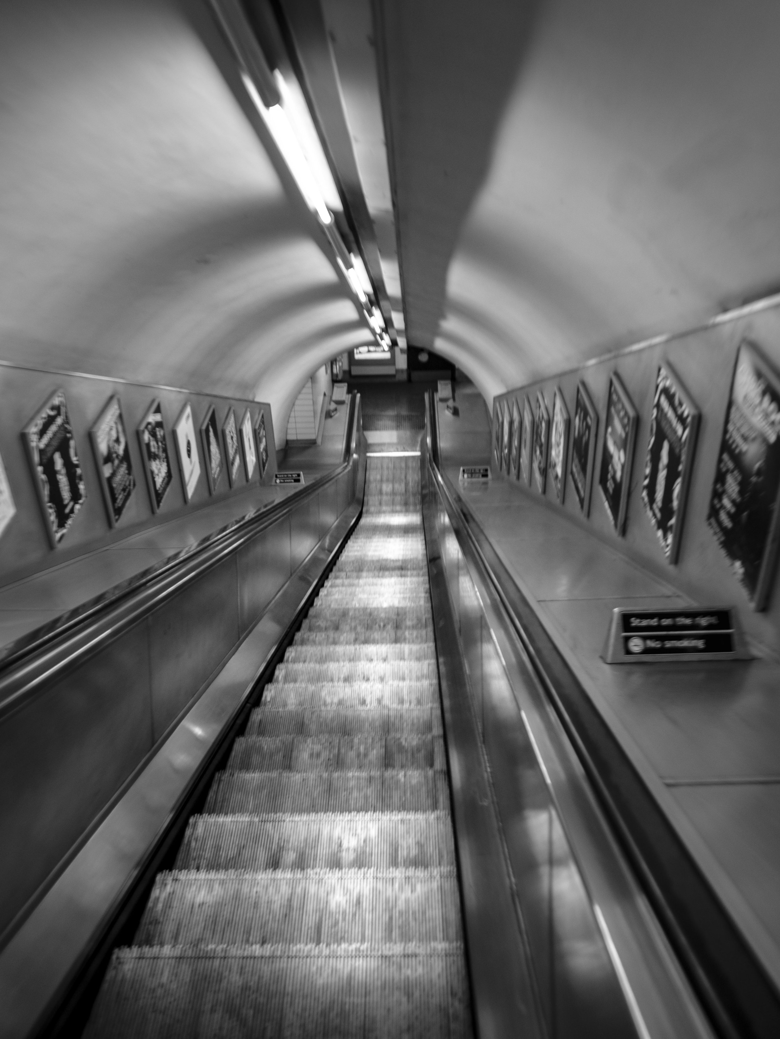 _XT27495.jpg