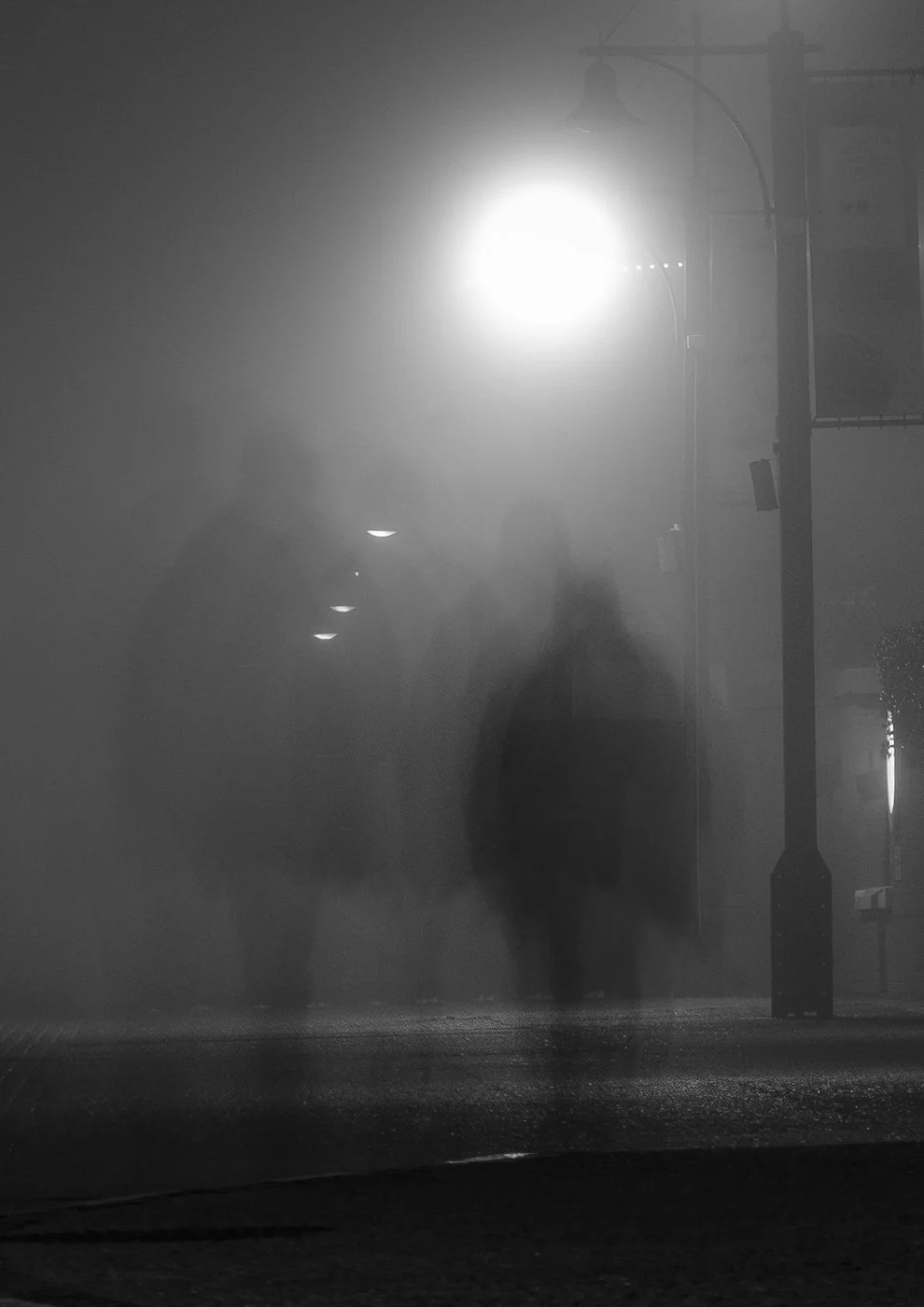 GFX 50s 3_.jpg