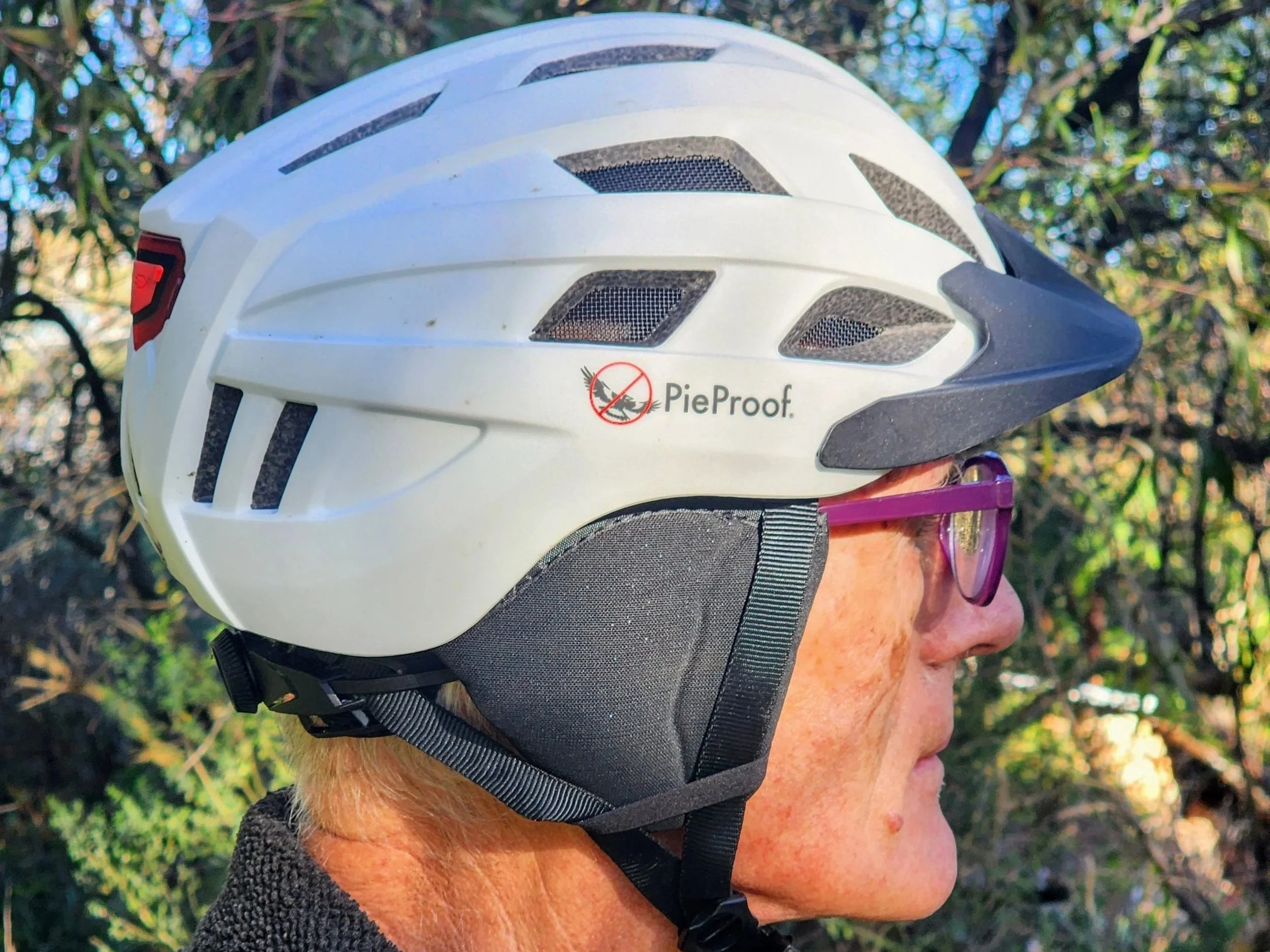 Magpie vs Helmet: A Rider's Review
