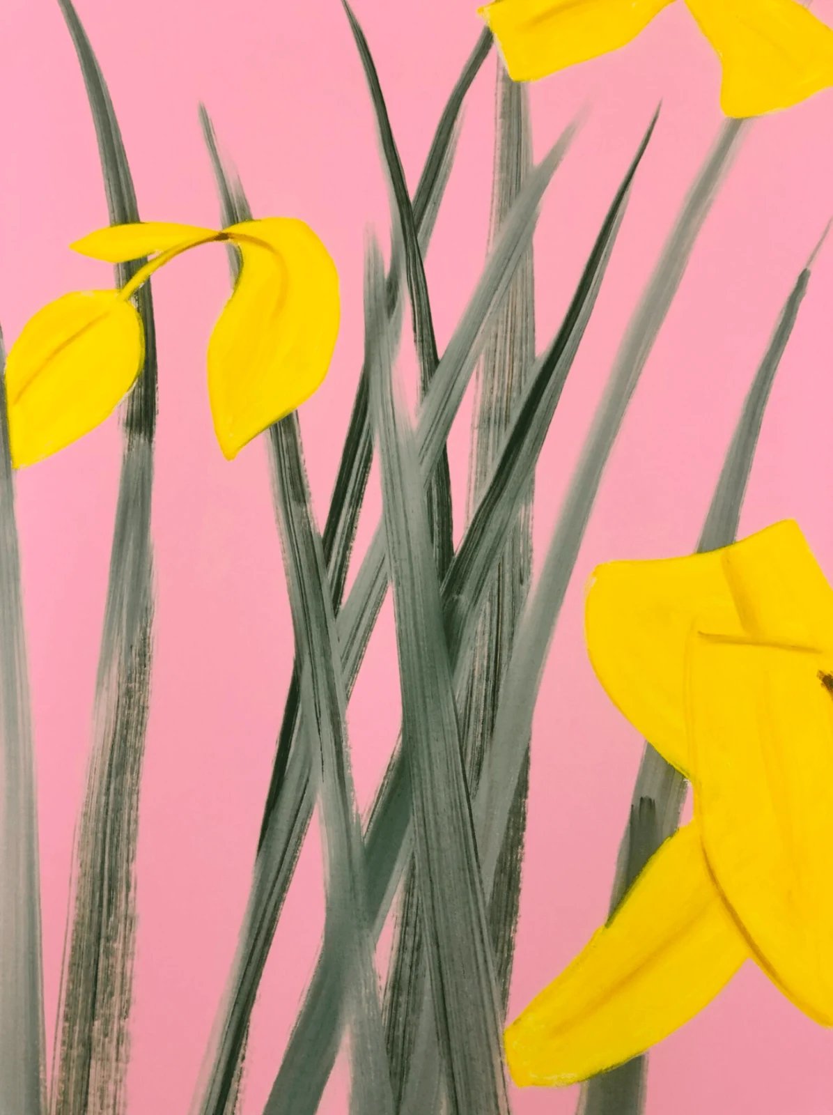 Yellow Flags 3, 2020 Archival pigment inks on Crane Museo Max 365 gsm fine art paper 33 x 22 in 83.8 x 55.9 cm Edition of 150 Series: Nature Copyright The Artist