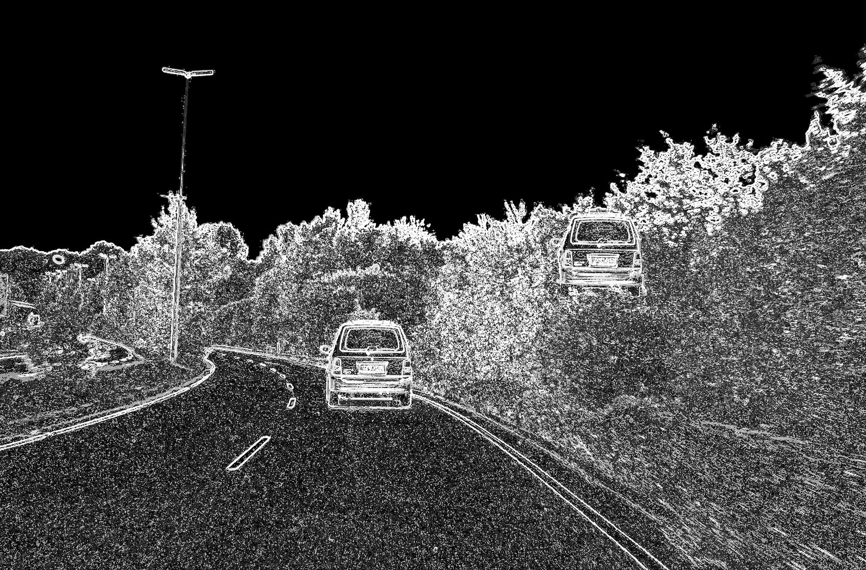 Double Vision 2008 digital photography 80 x 100