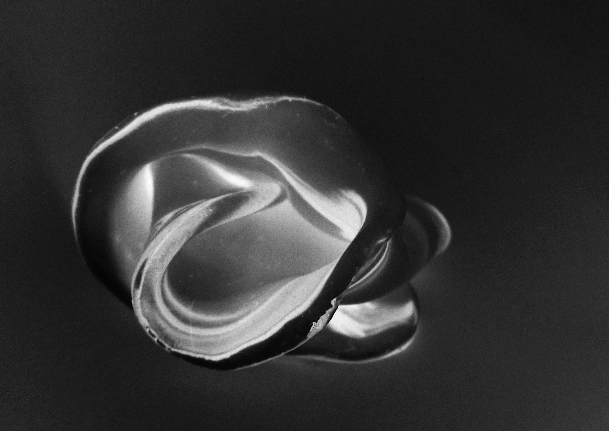 Floating object 4 2013, digital photography