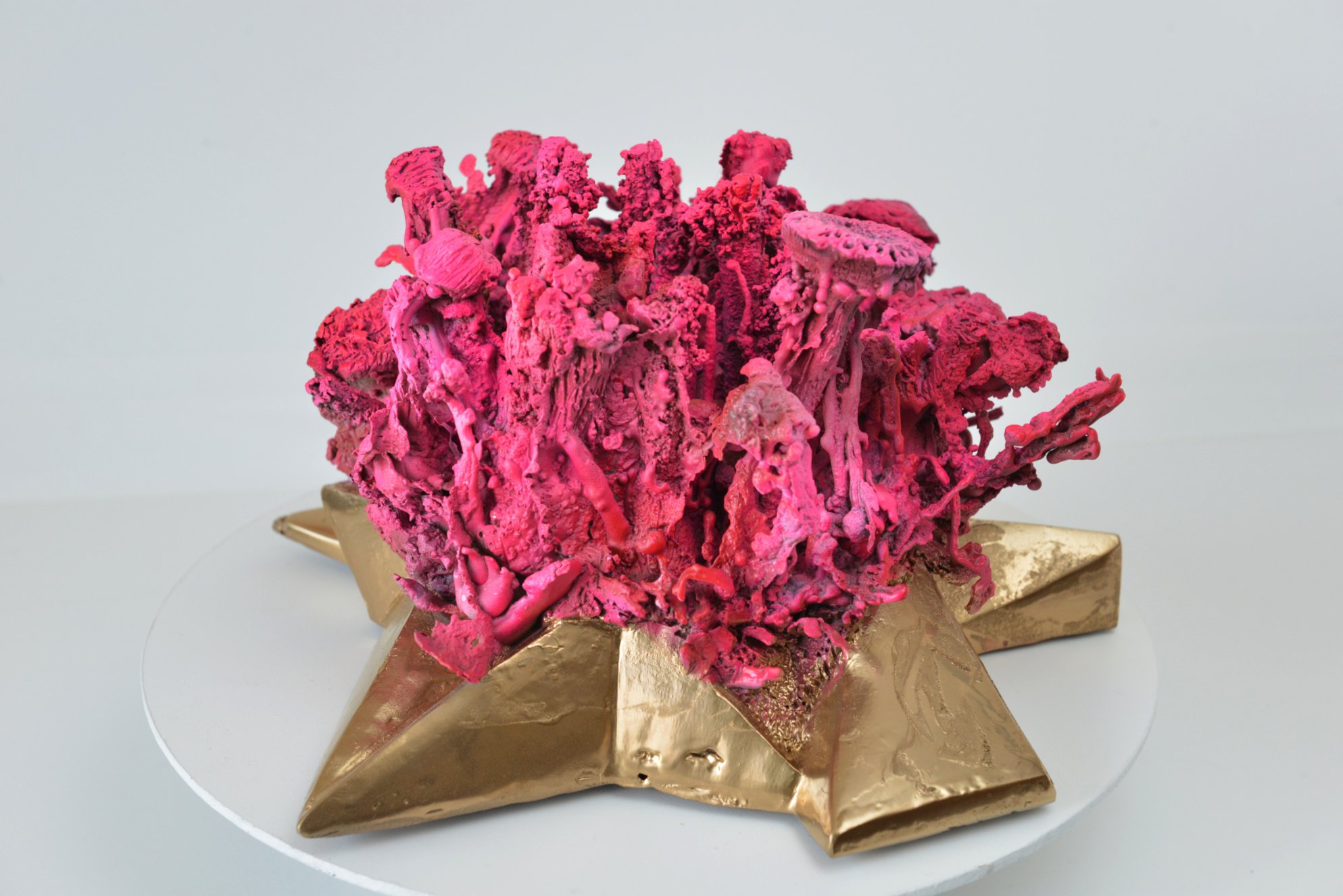 New crystal life form, 2020, Bronze, 23 x 23 x13 cm