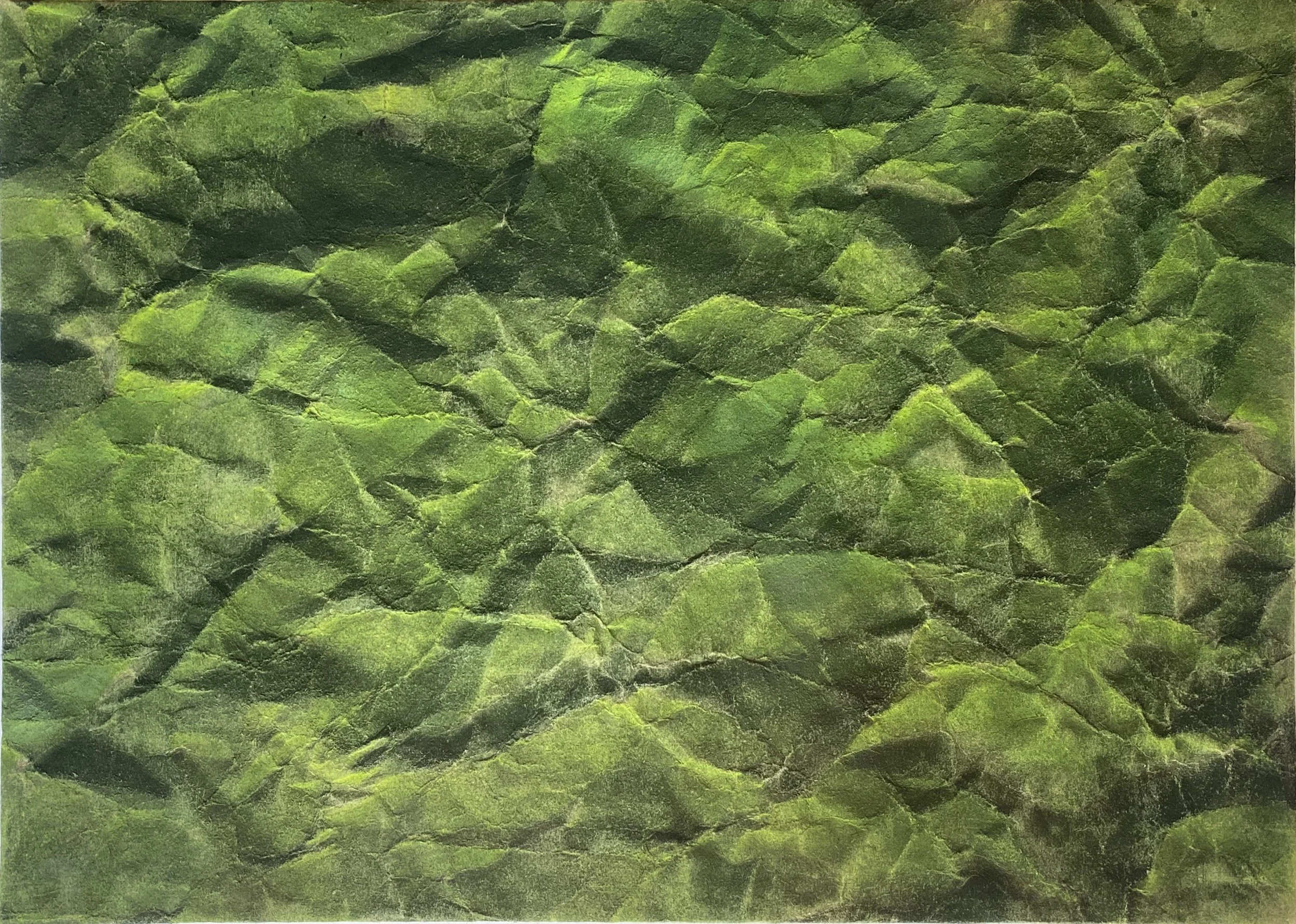 WA25024, 2025, Acrylic on paper, 73 x 53 cm