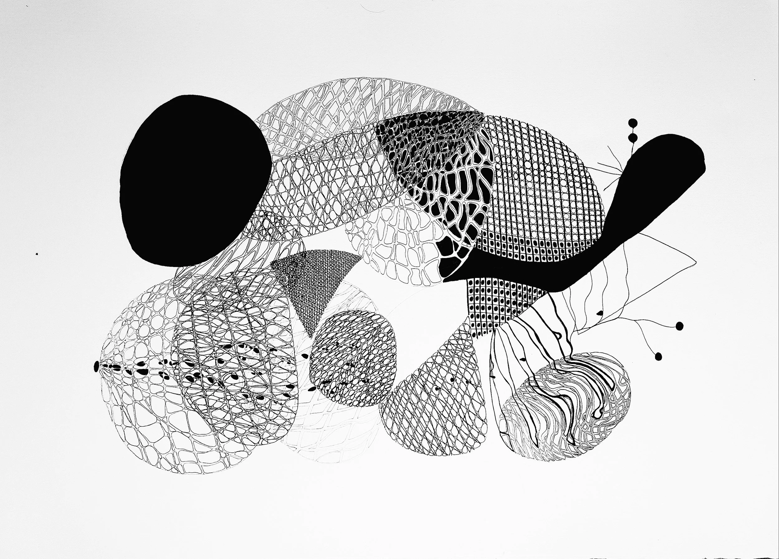 Connections #8, 2023