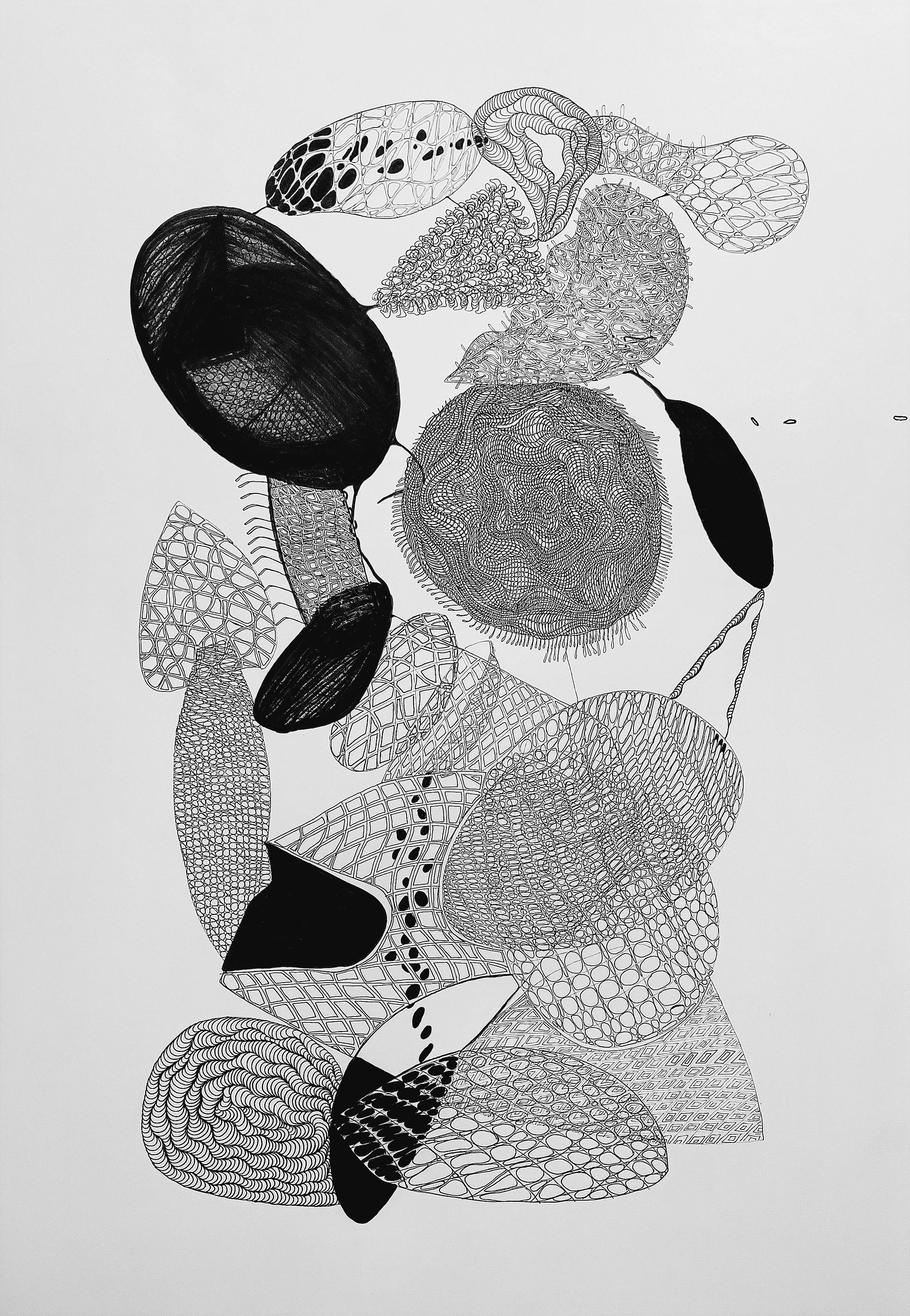 Connections #10, 2023