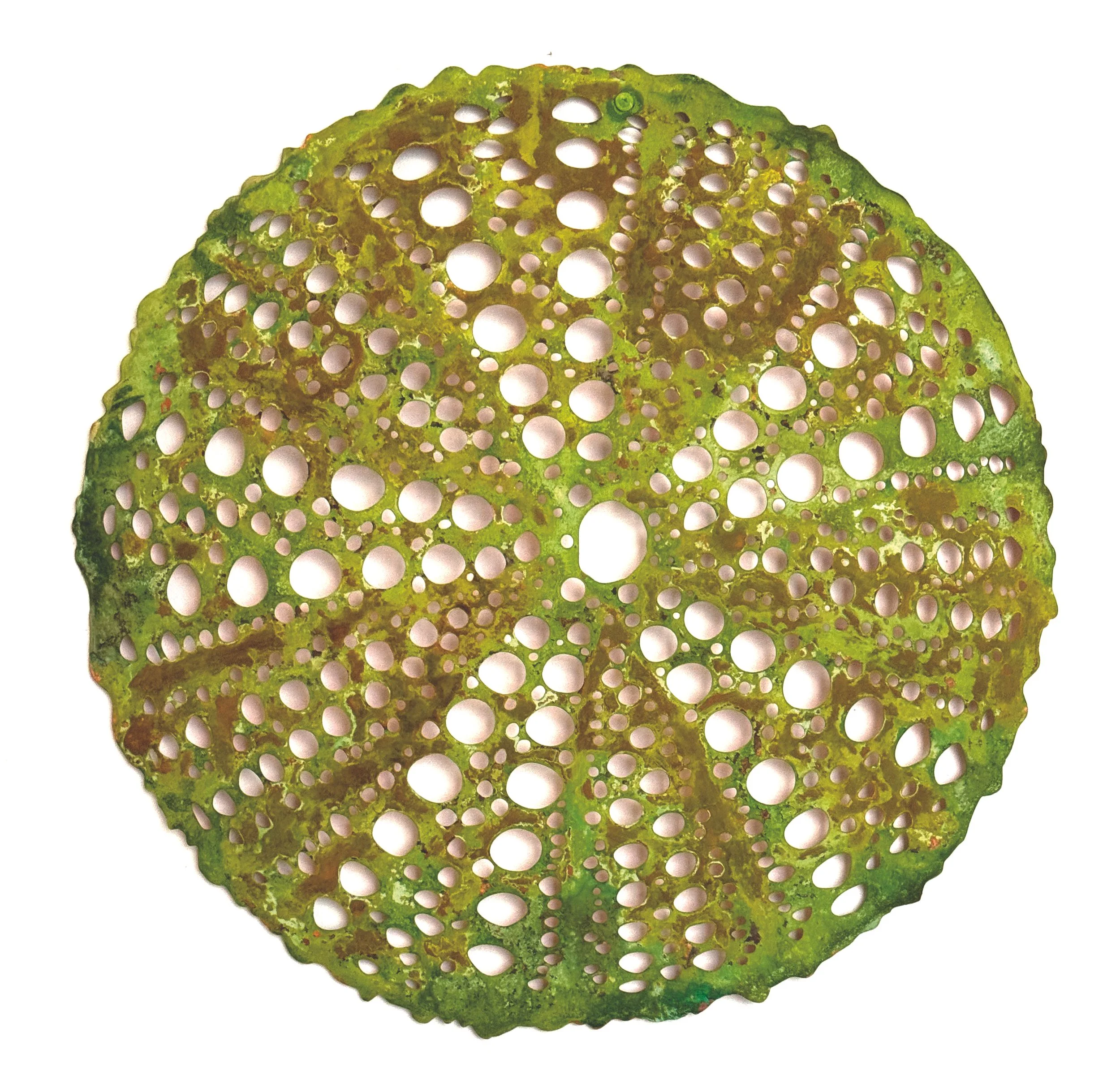 Find Me on a Seabed, 2024. Copper, 60 x 60 x 5cm