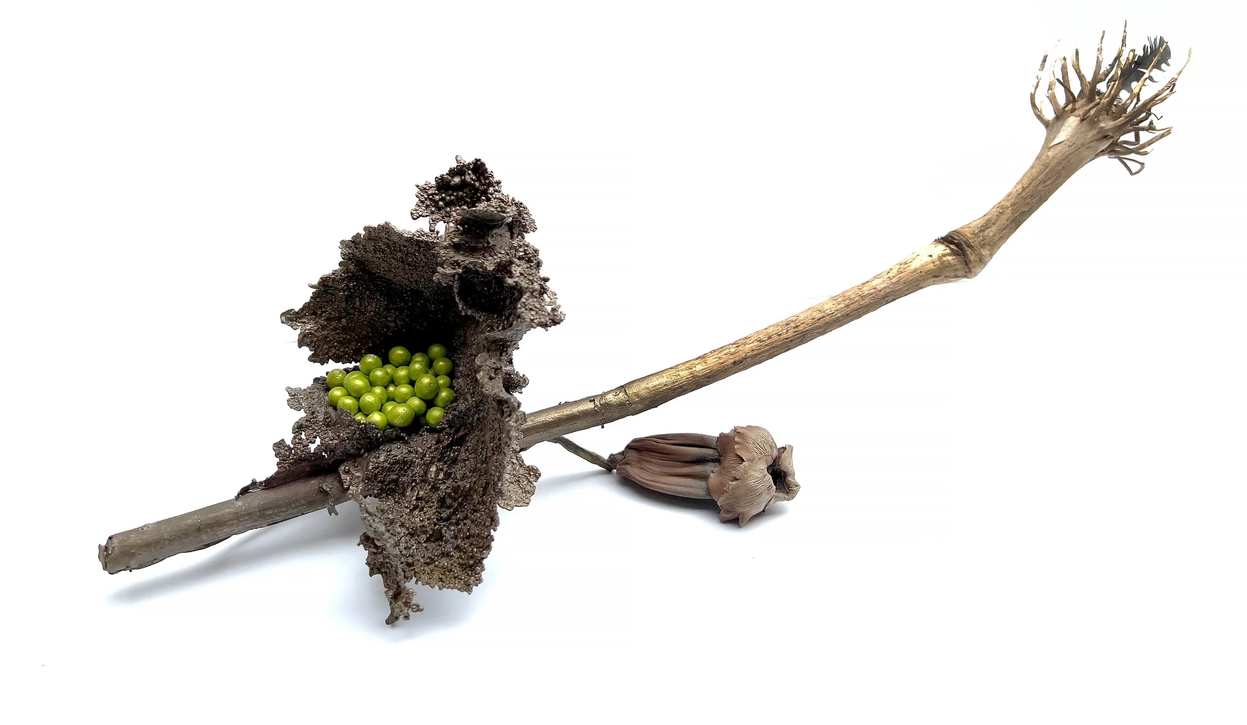 Transmutations, 2018. Bronze, wood, feather, 45 x 20 x 15 cm.