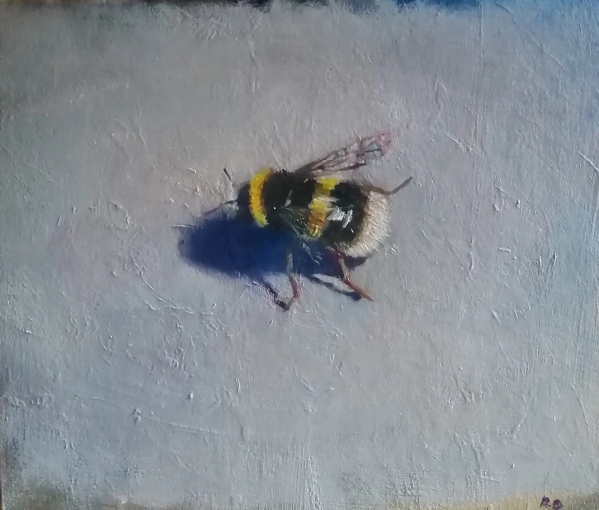 Bumble bee, 2024. Oil on board  31 x 26 cm