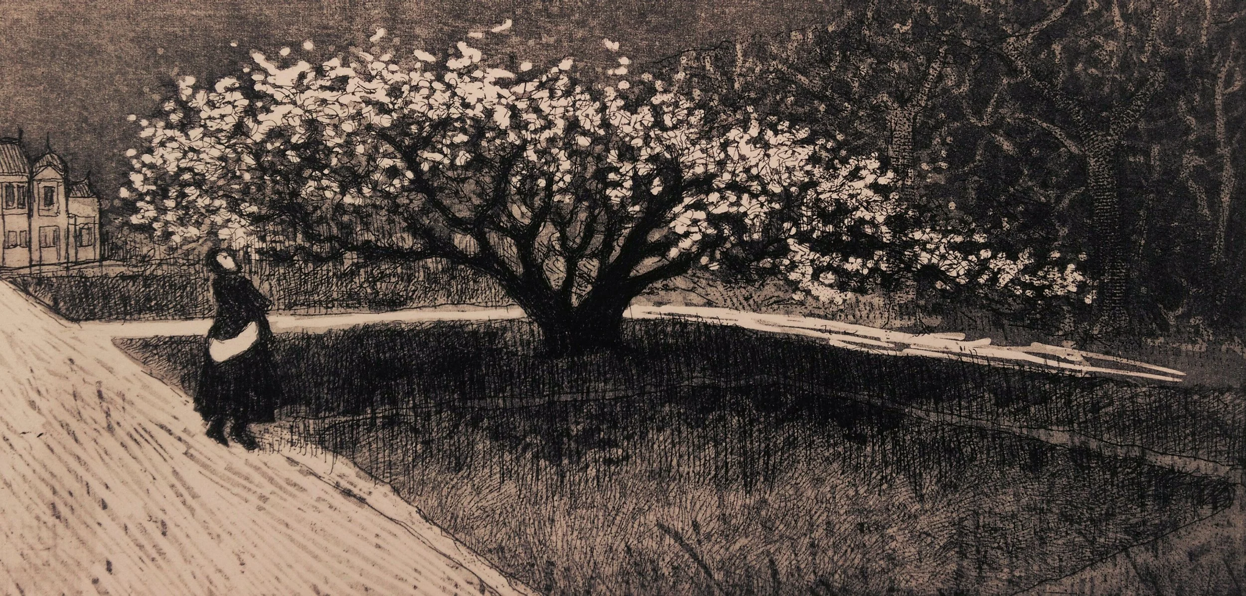 Le cerisier, 2019. Intaglio etching on zinc, 40 x 30 cm.