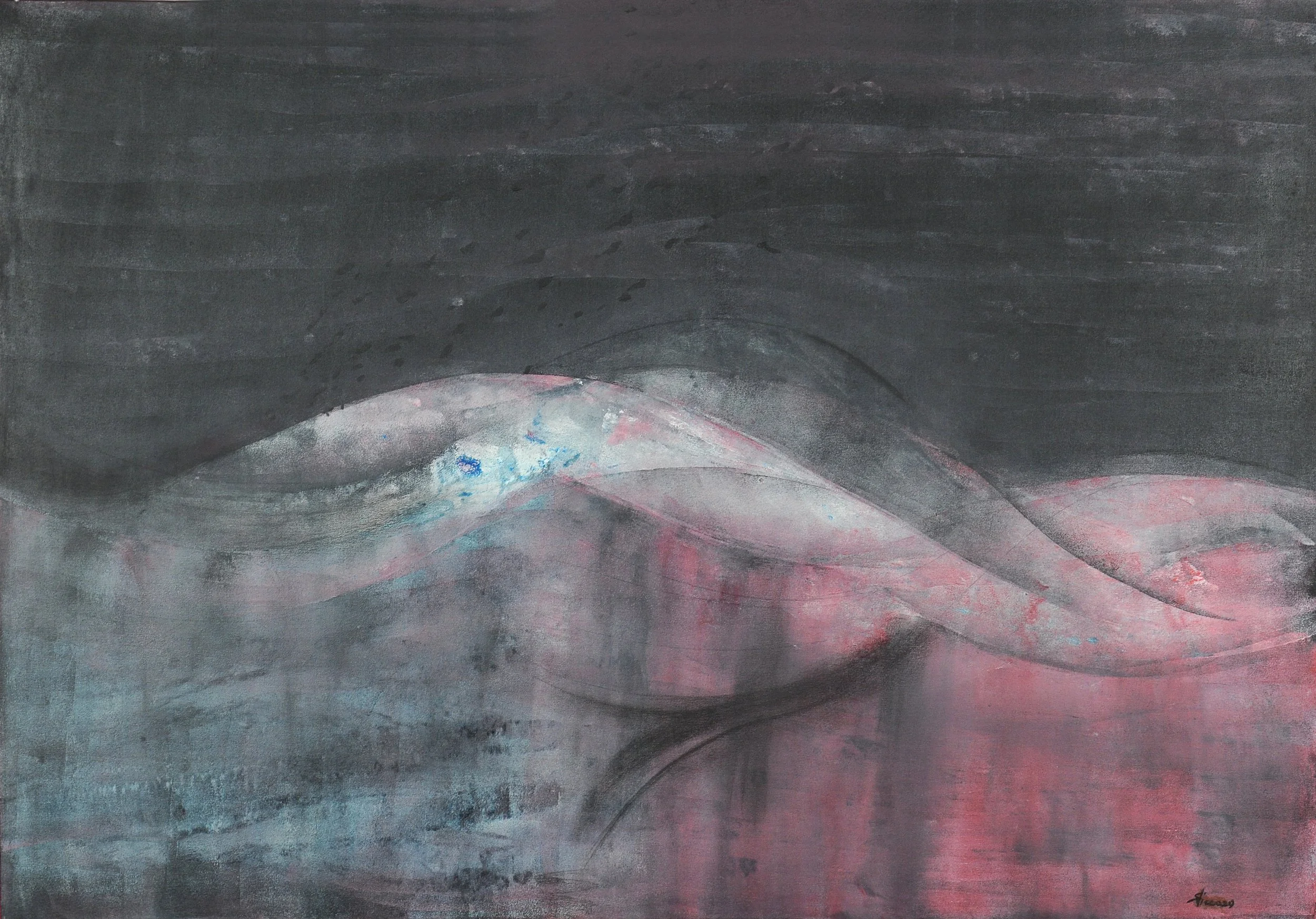 Whale  2007 acrilic,charcoal on canvass cm. 80x100