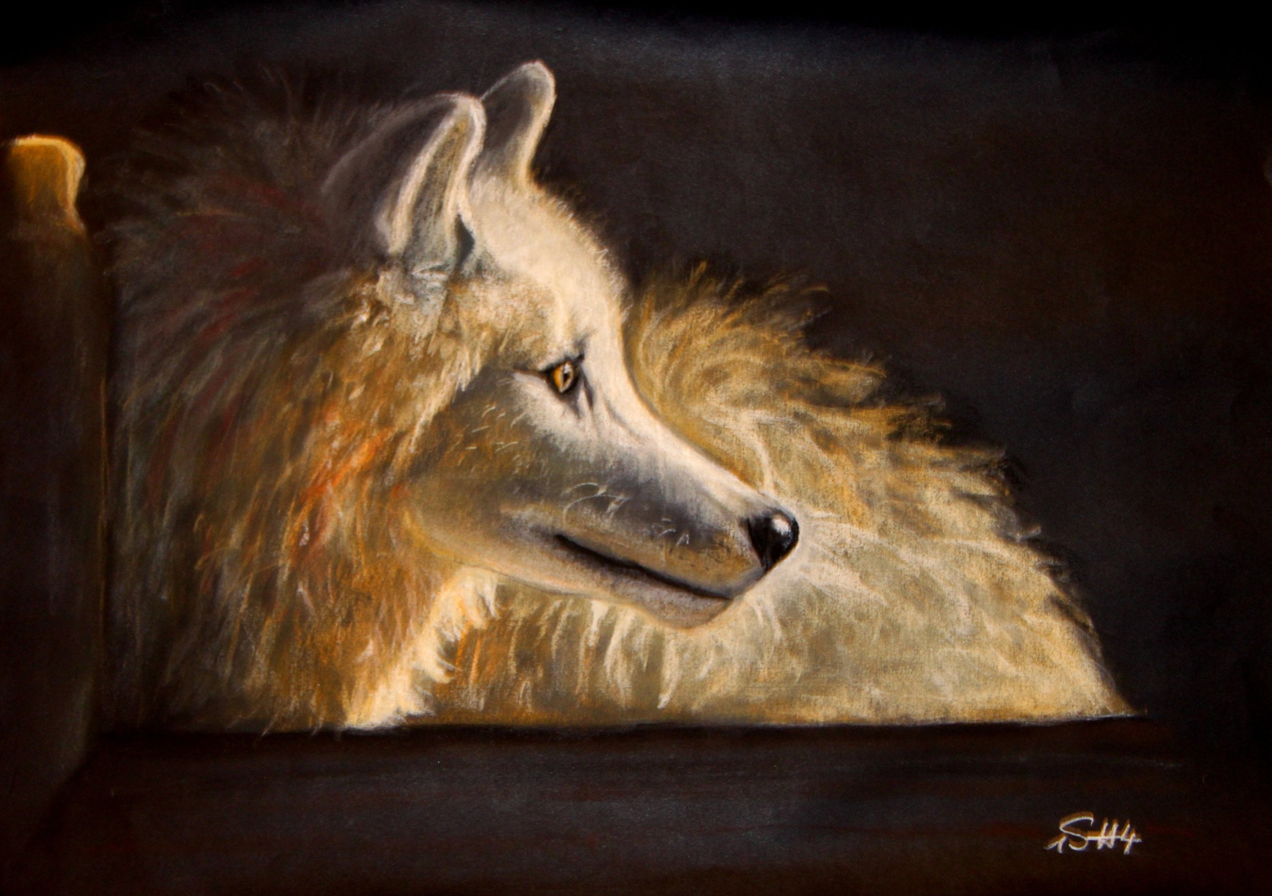 Venus im Pelz, 2014, pastel on paper, 30x40