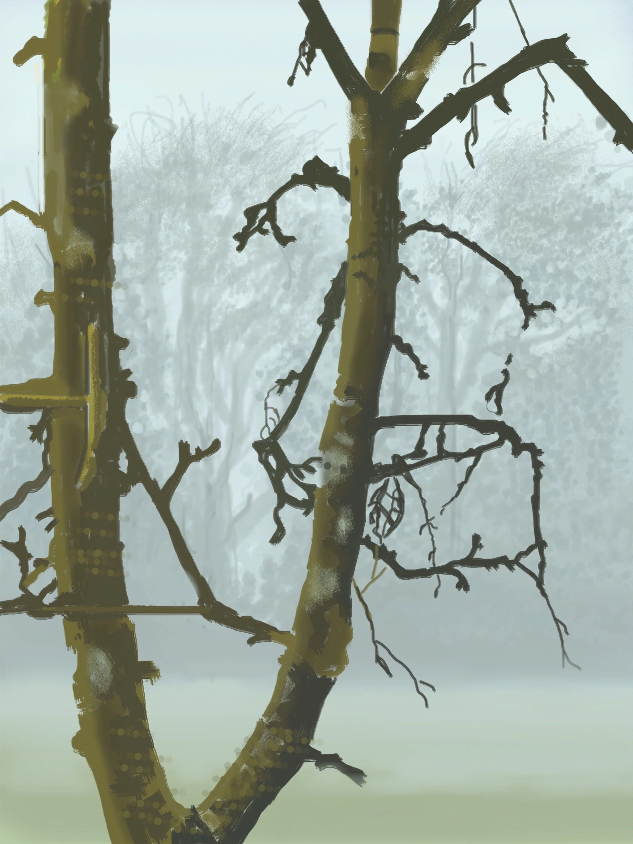 Misty doesn’t mean Dull. 2025. Digital Print A/3 29.7x42 cm