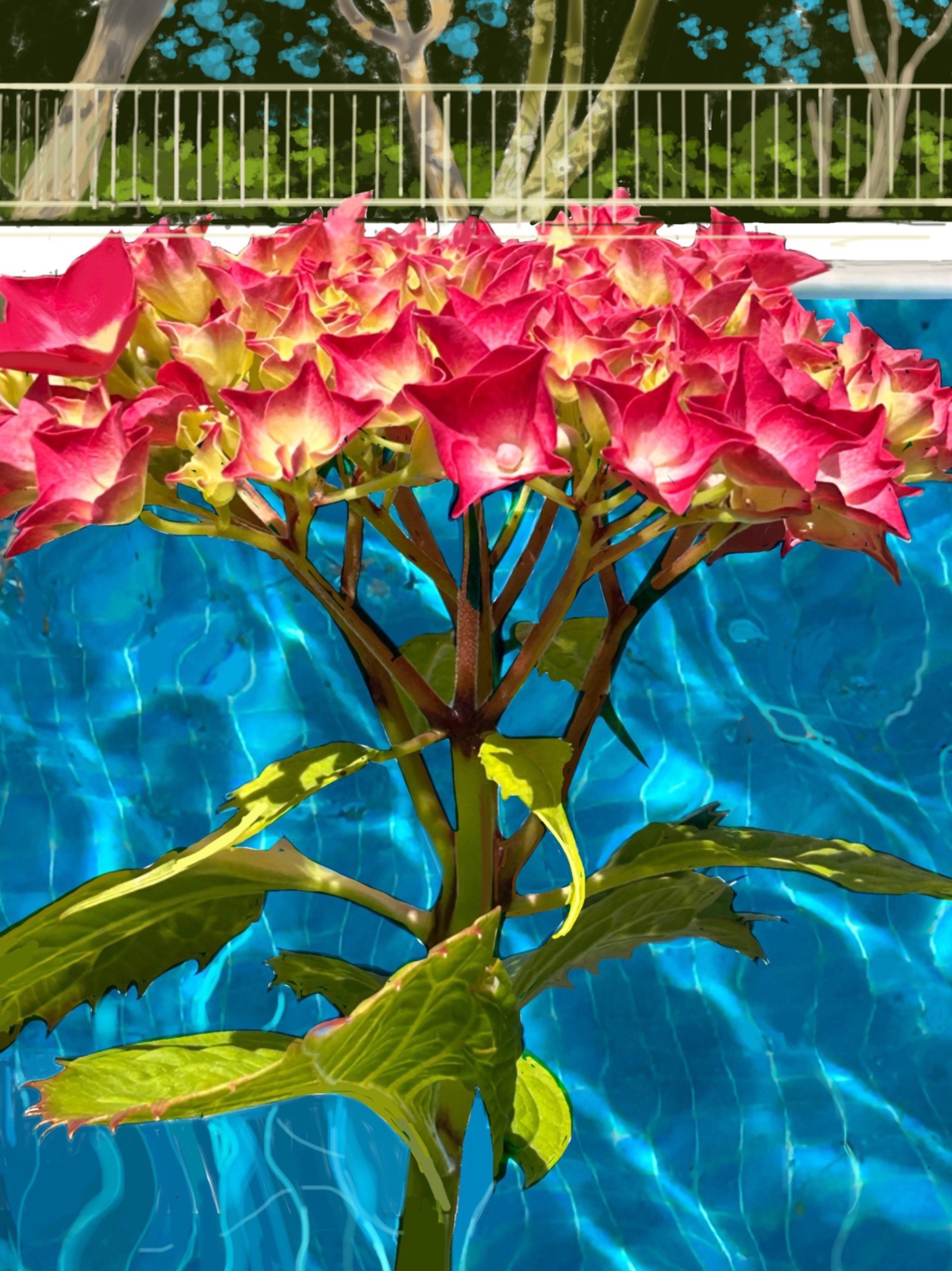 Hydrangeas against the Pool. 2025. Digital print A/3 29.7x42cm