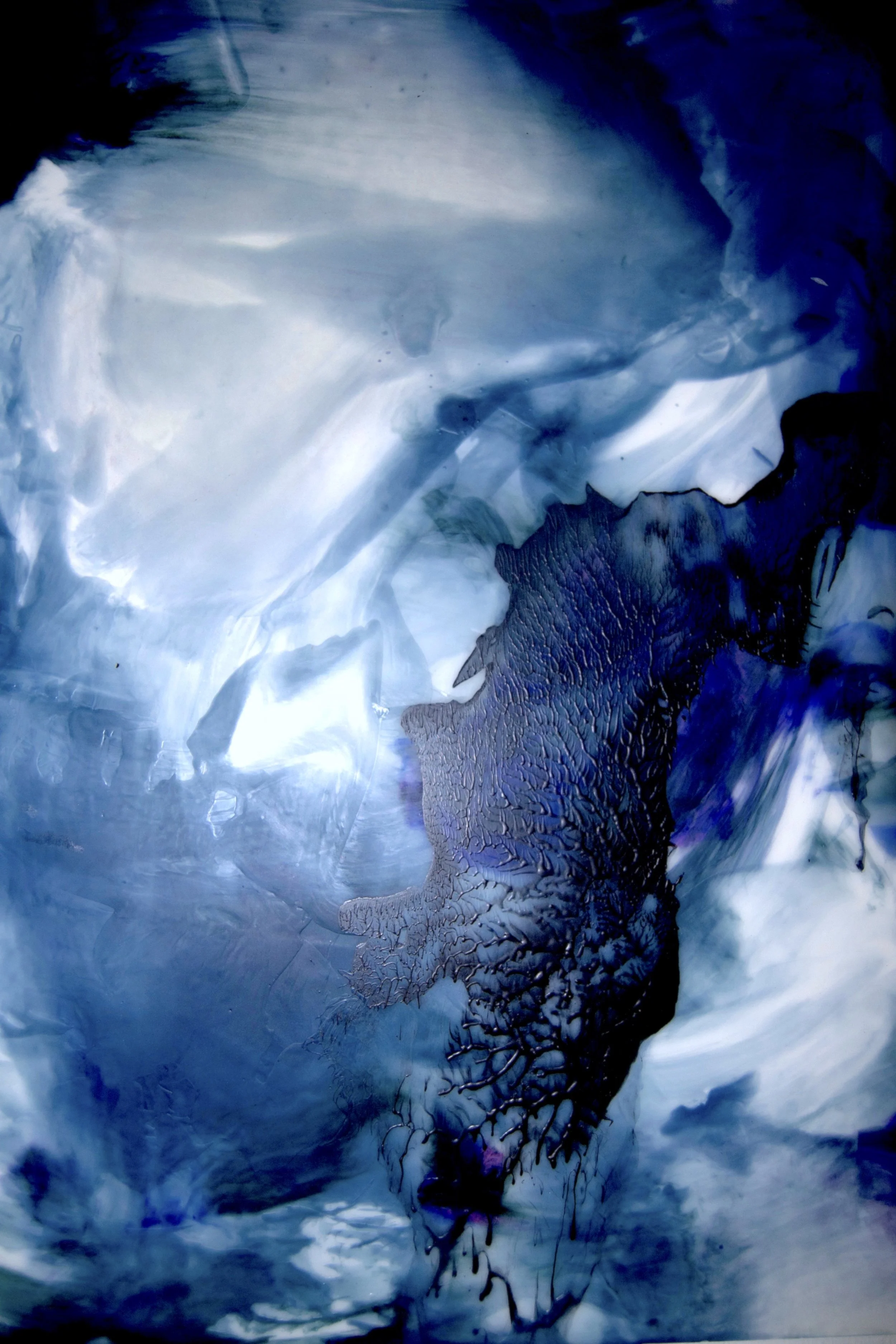 Nightwing, 2018. Encaustic on wood cradle board, 45.72 x 60.96 cm