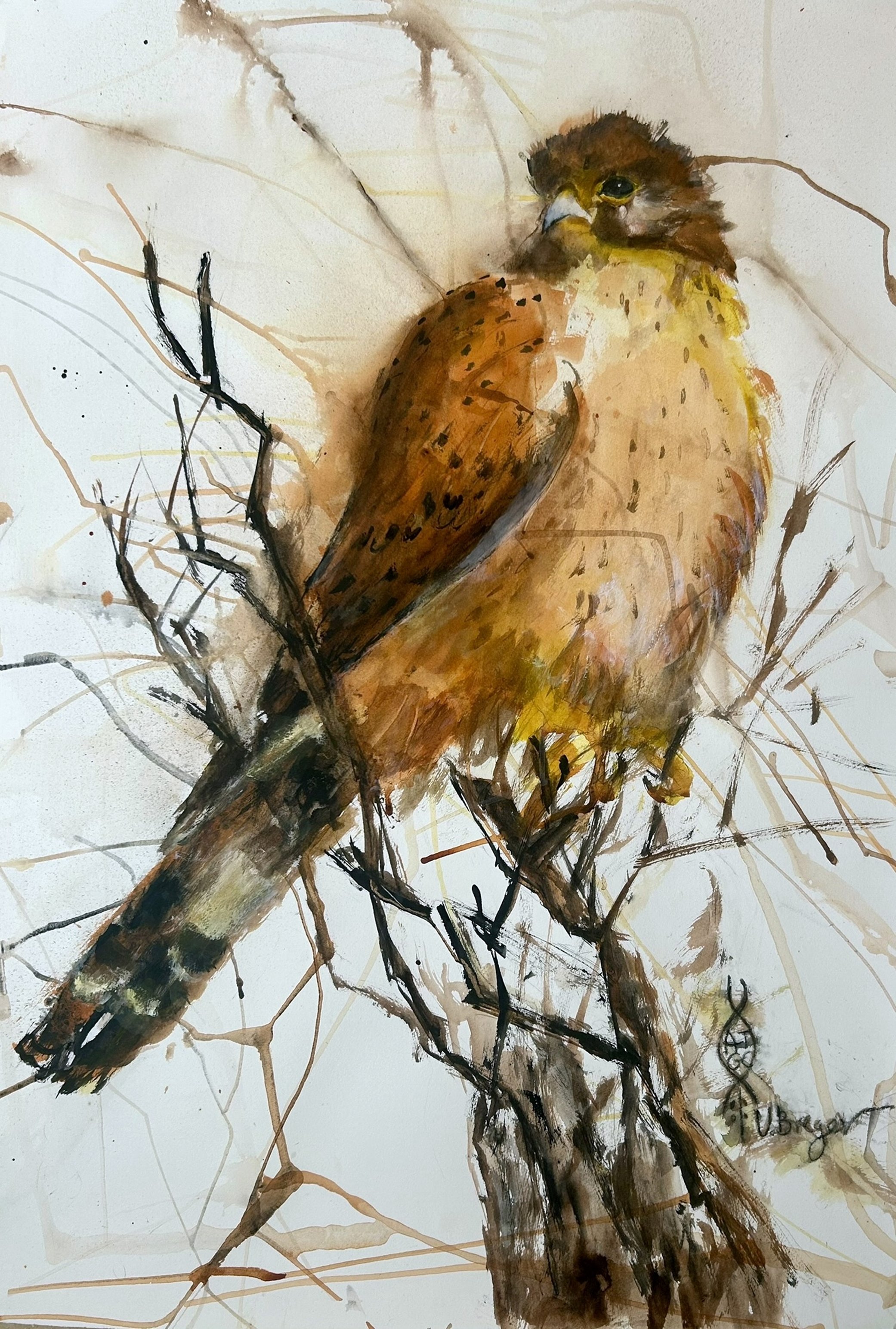 WILD BIRD, 2025, ACRY...X70.