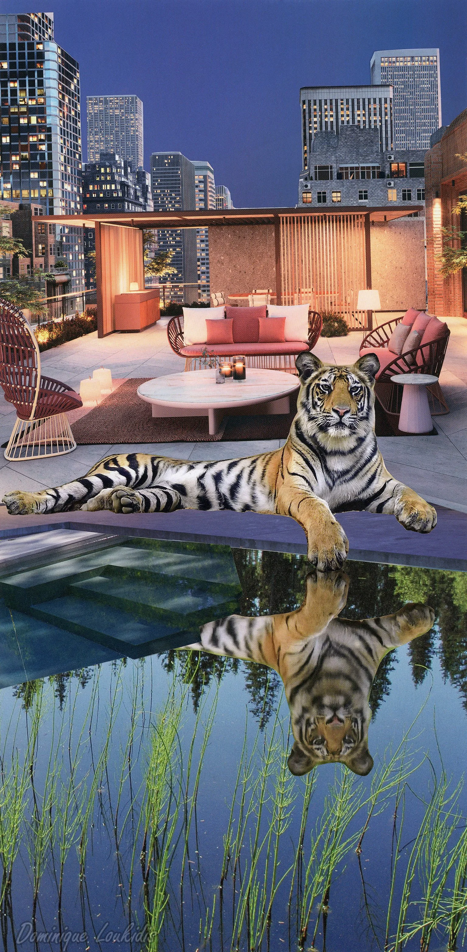 Tiger at the pool, 2021. Collage, Artprint: RAG paper on Dibond, 40 * 80 cm