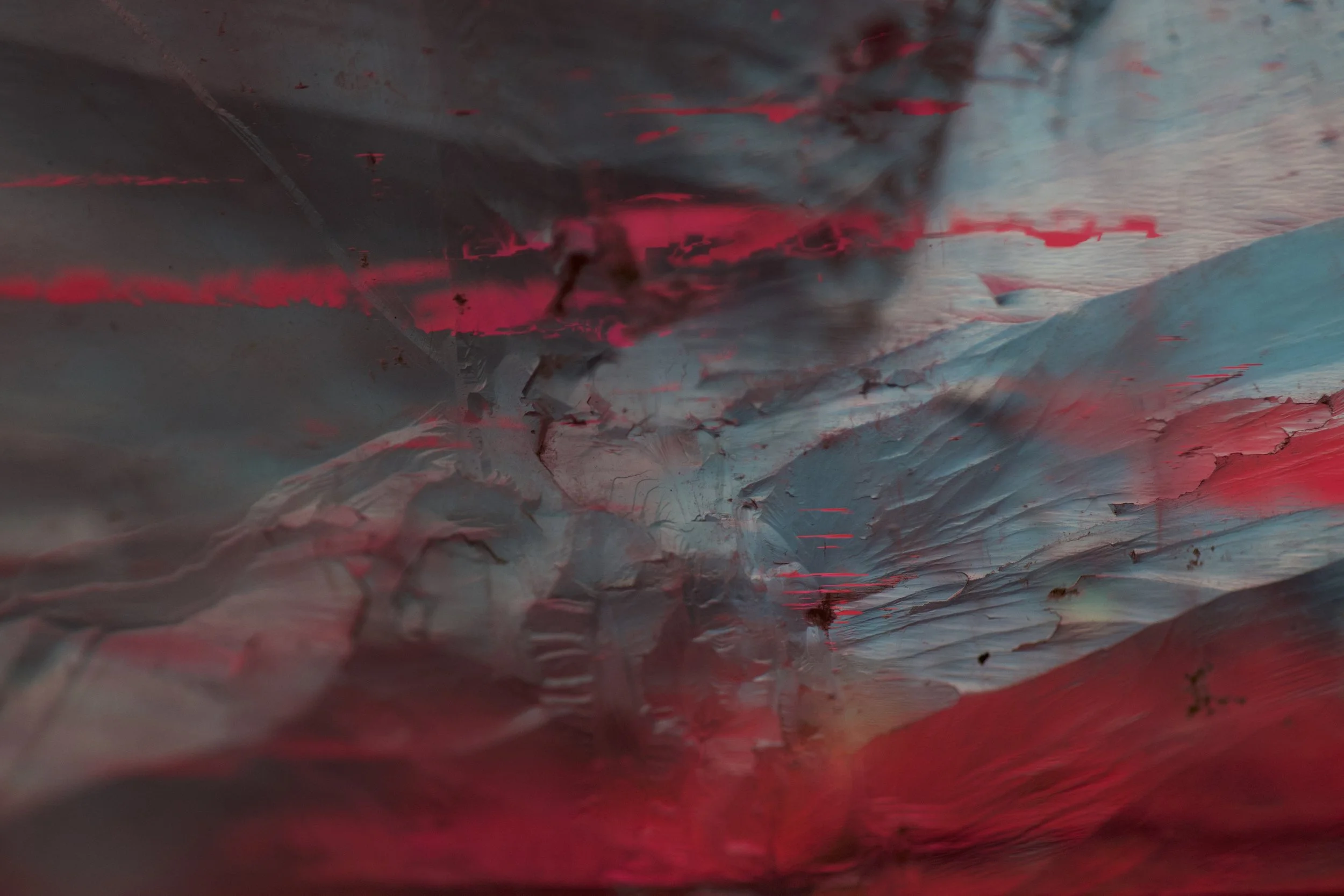 Flying Turtle, 2024. Digital Photography, 90 x 60 cm