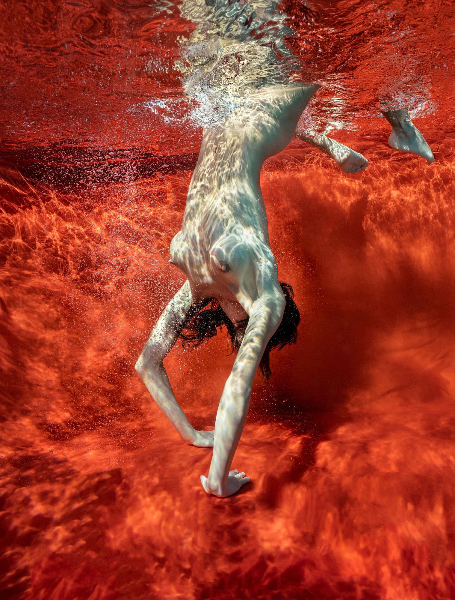 Blood and Milk VIII (2022)