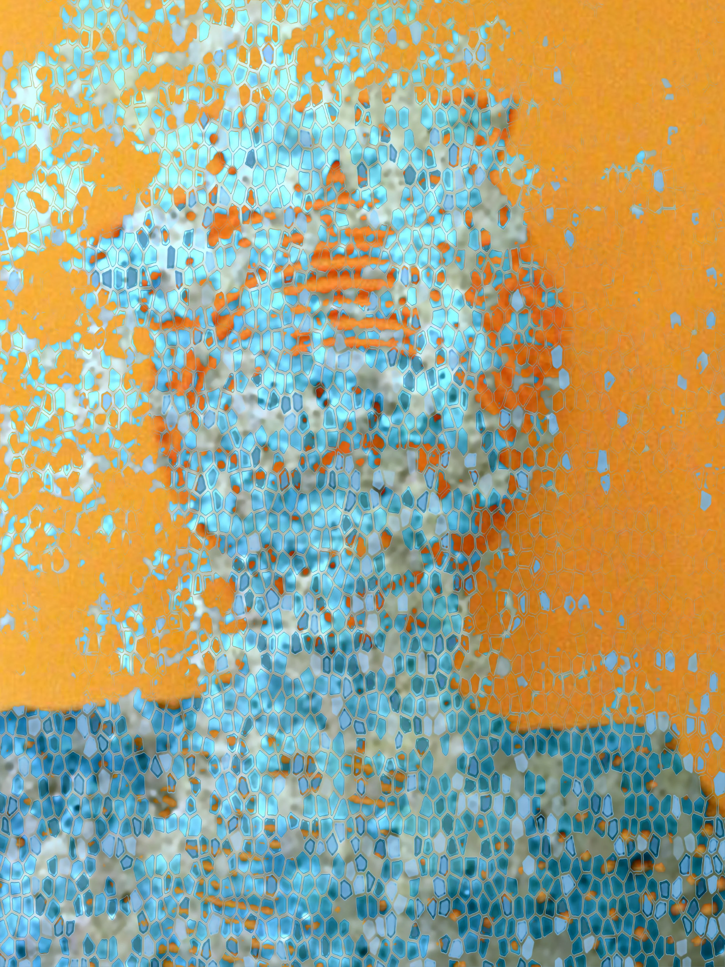 Mosaic Refuge 2023, Photomontage acrylic facemount, 40.6 cm H × 30.5 cm W