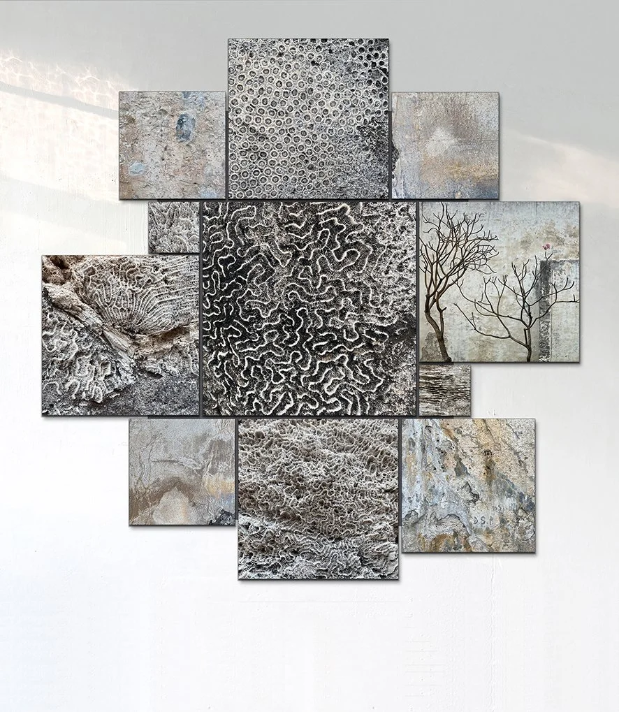 A-Typologie Veracruz, 2025