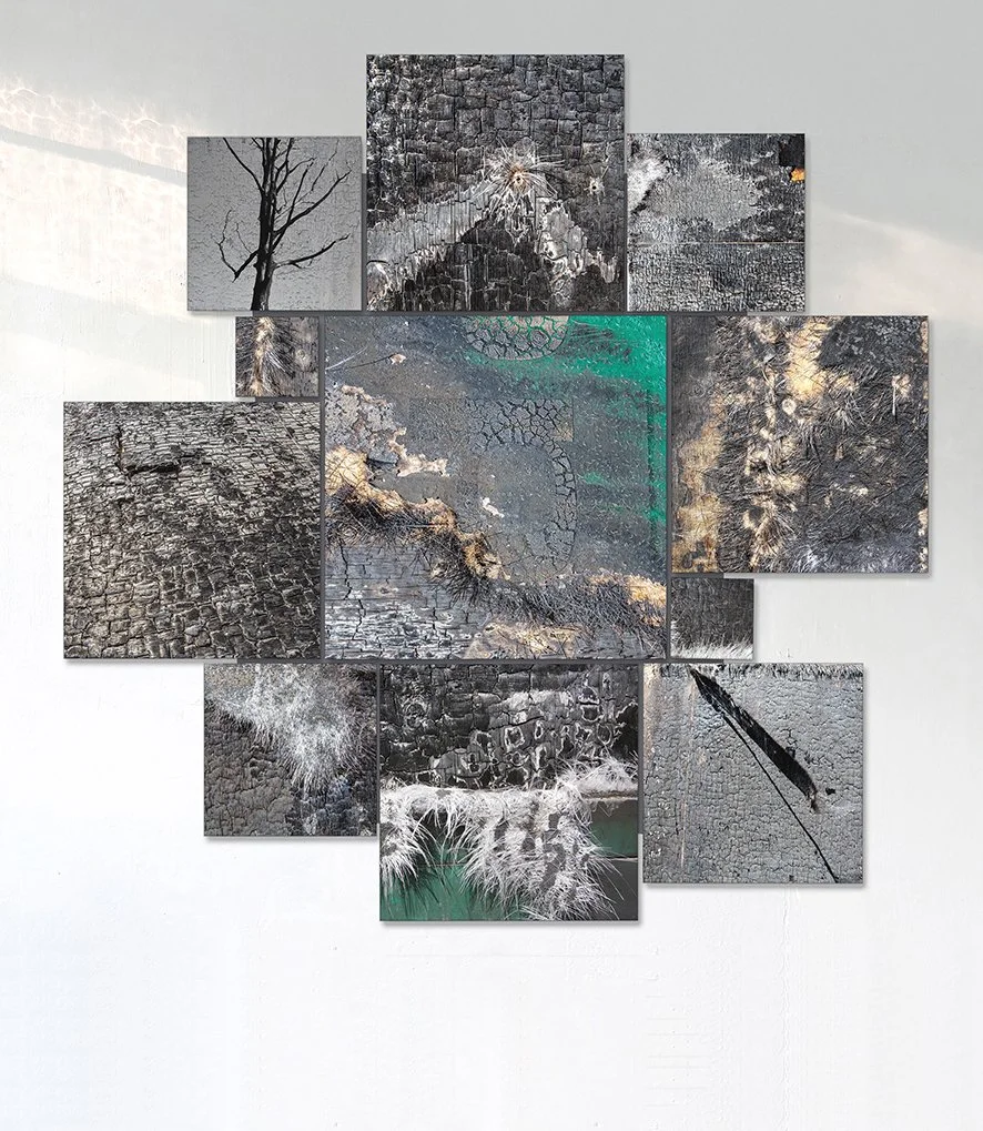 A-Typologie Diebsteich, 2025