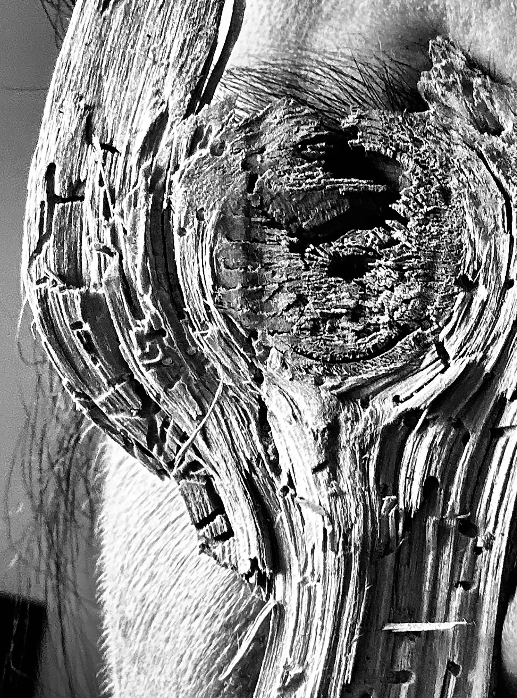 Odins Lost Eye, A-H. Brekke, 2025. Photoinstallation, black&amp;white photo, wood.