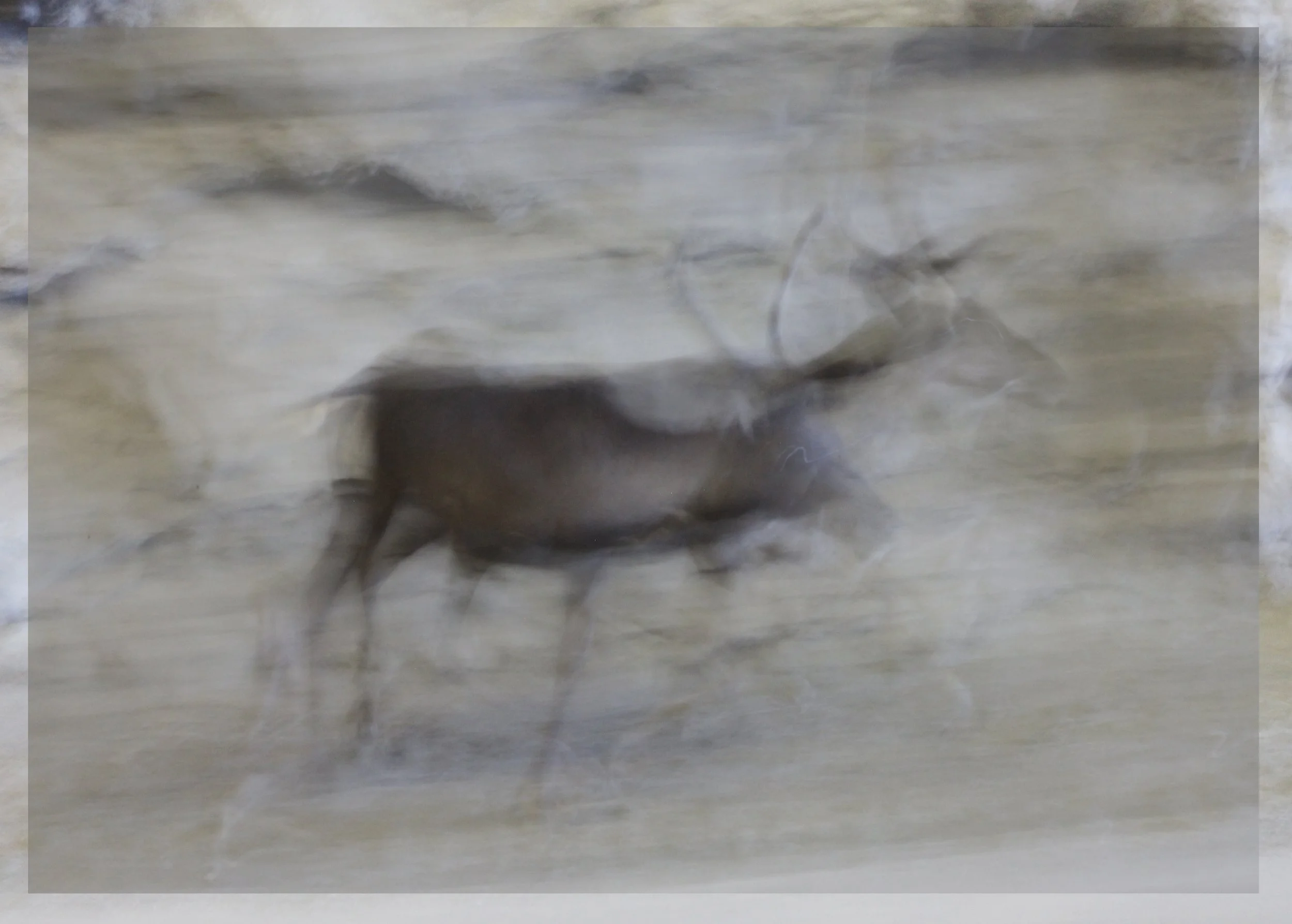 Spirits, A-H.Brekke, 2023. Colour photo, 60x80 cm