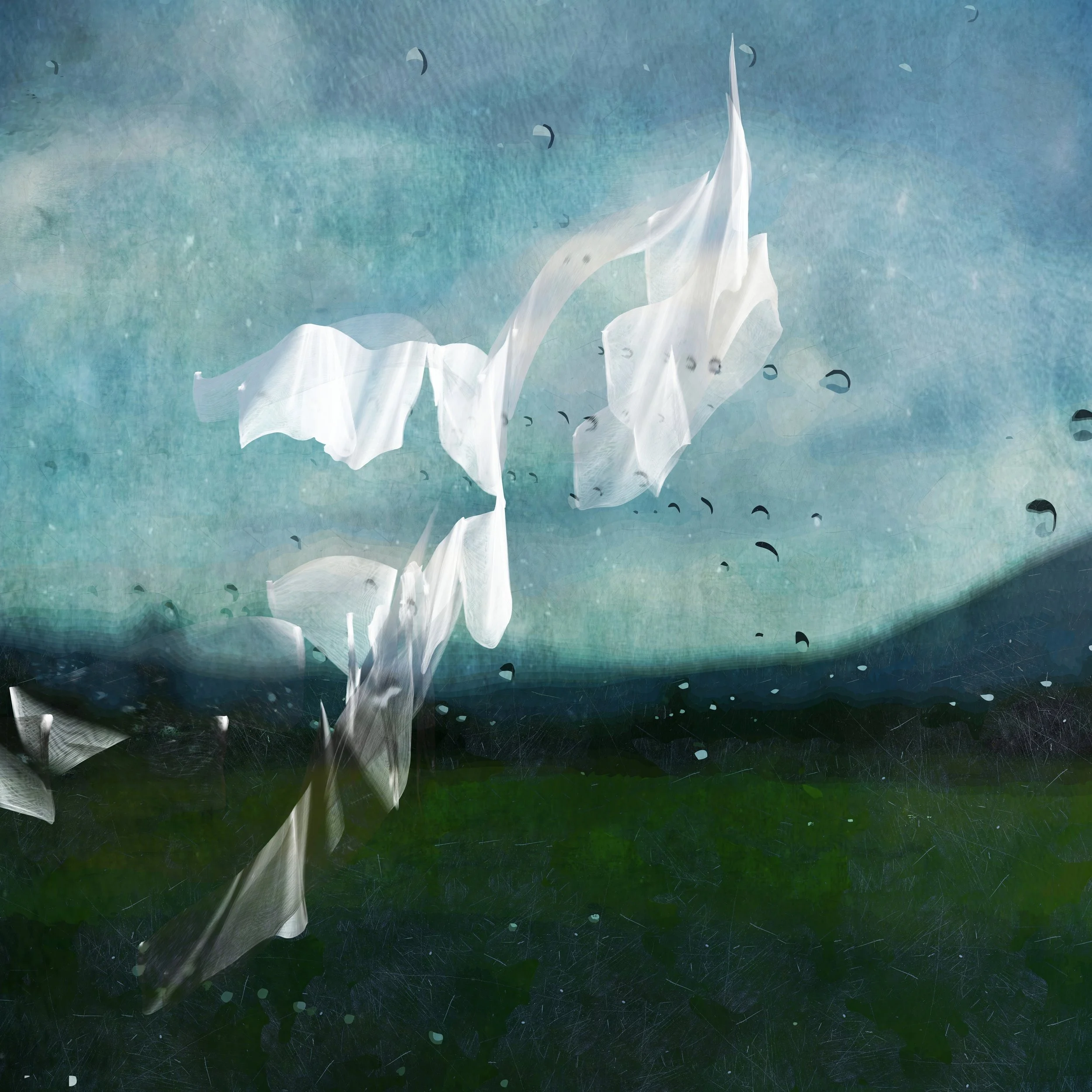 Poem (Ps 63), 2025. Digital Print on Hahnemühle Photo Rag Satin, 80 x 80 cm