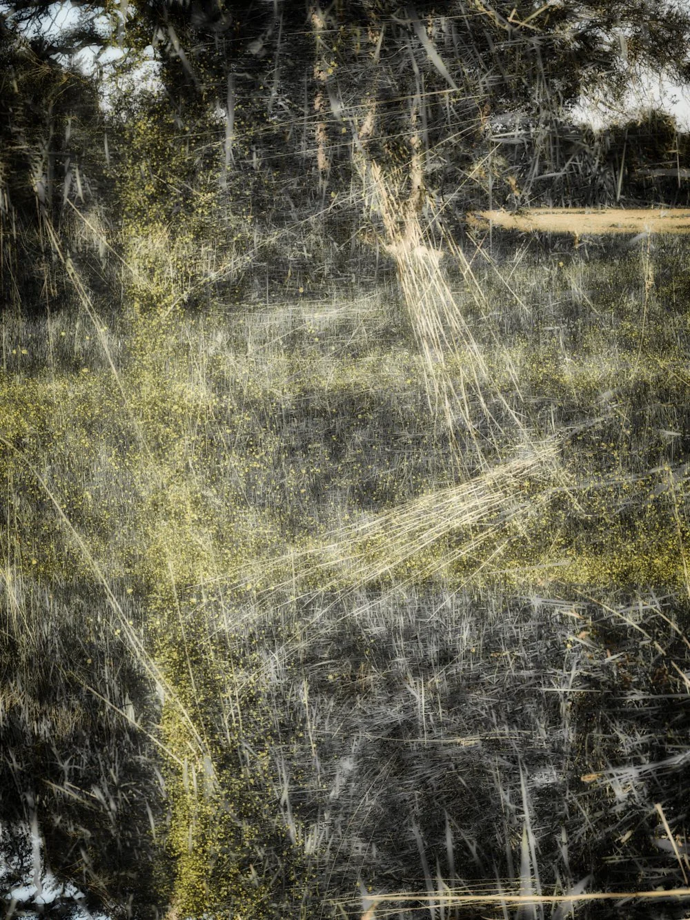 I've Got Your Number, Photography, gyclee-print