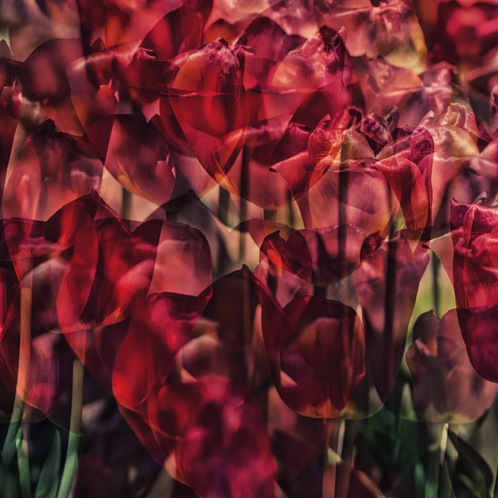 ThLove, 2025. Photography, gyclee-print on William Turner handmade paper, 60 x 60 cm