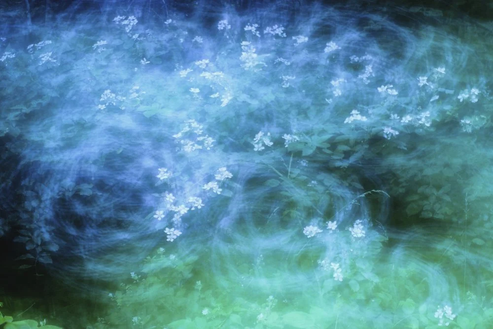 Happy Hour, 2023. Photography on giclee-print